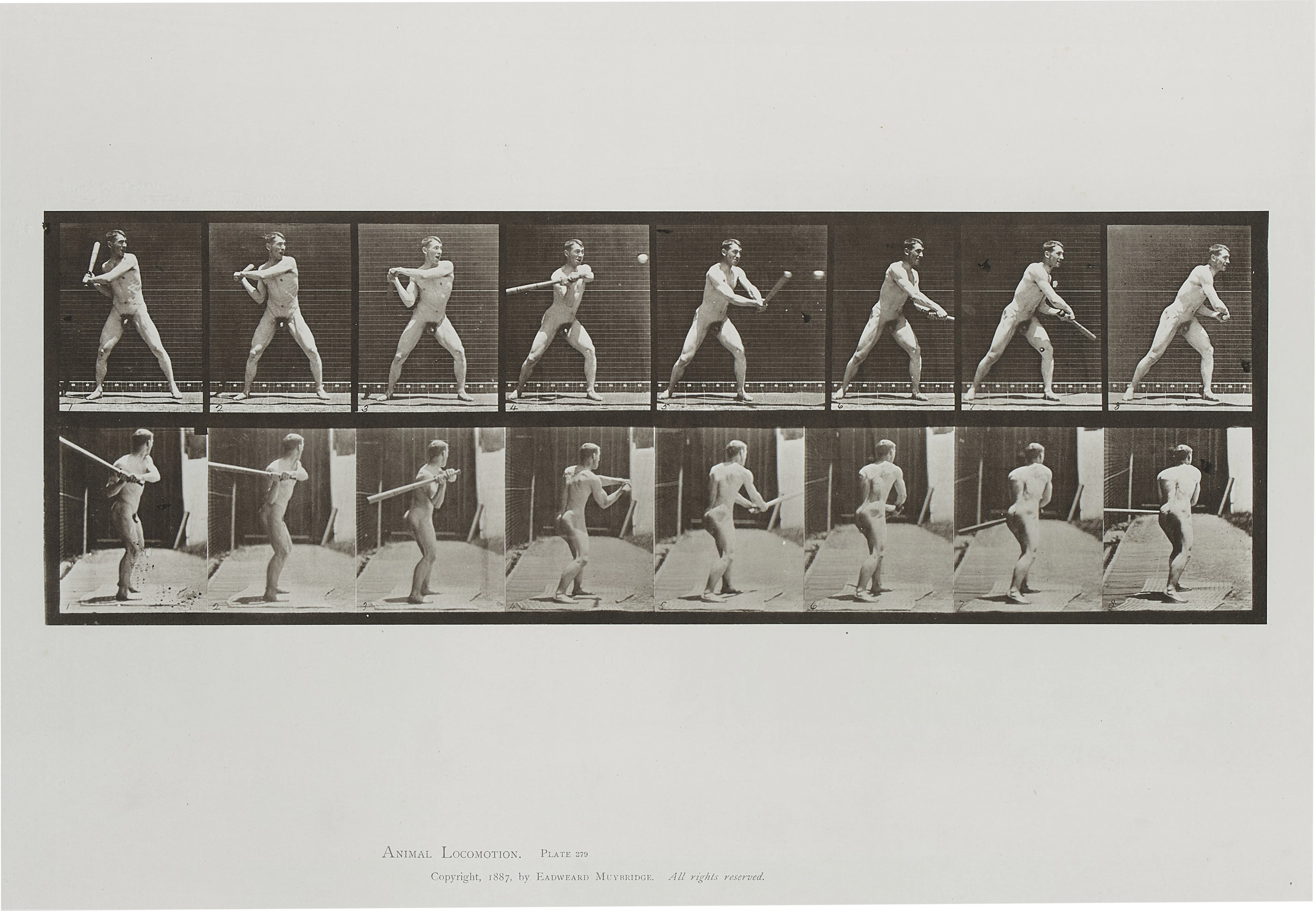 Selected Images
