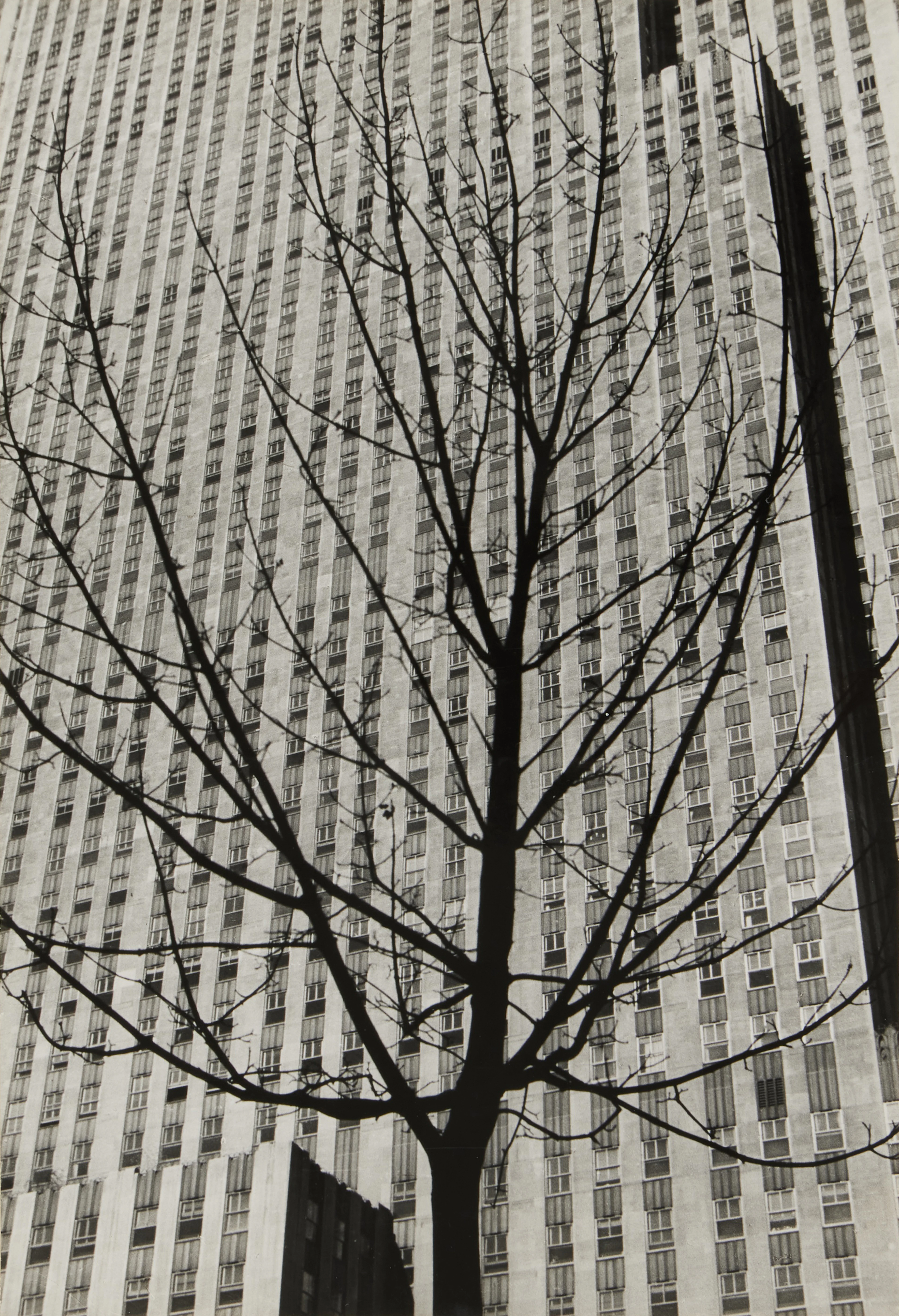 Untitled (Rockefeller Center)