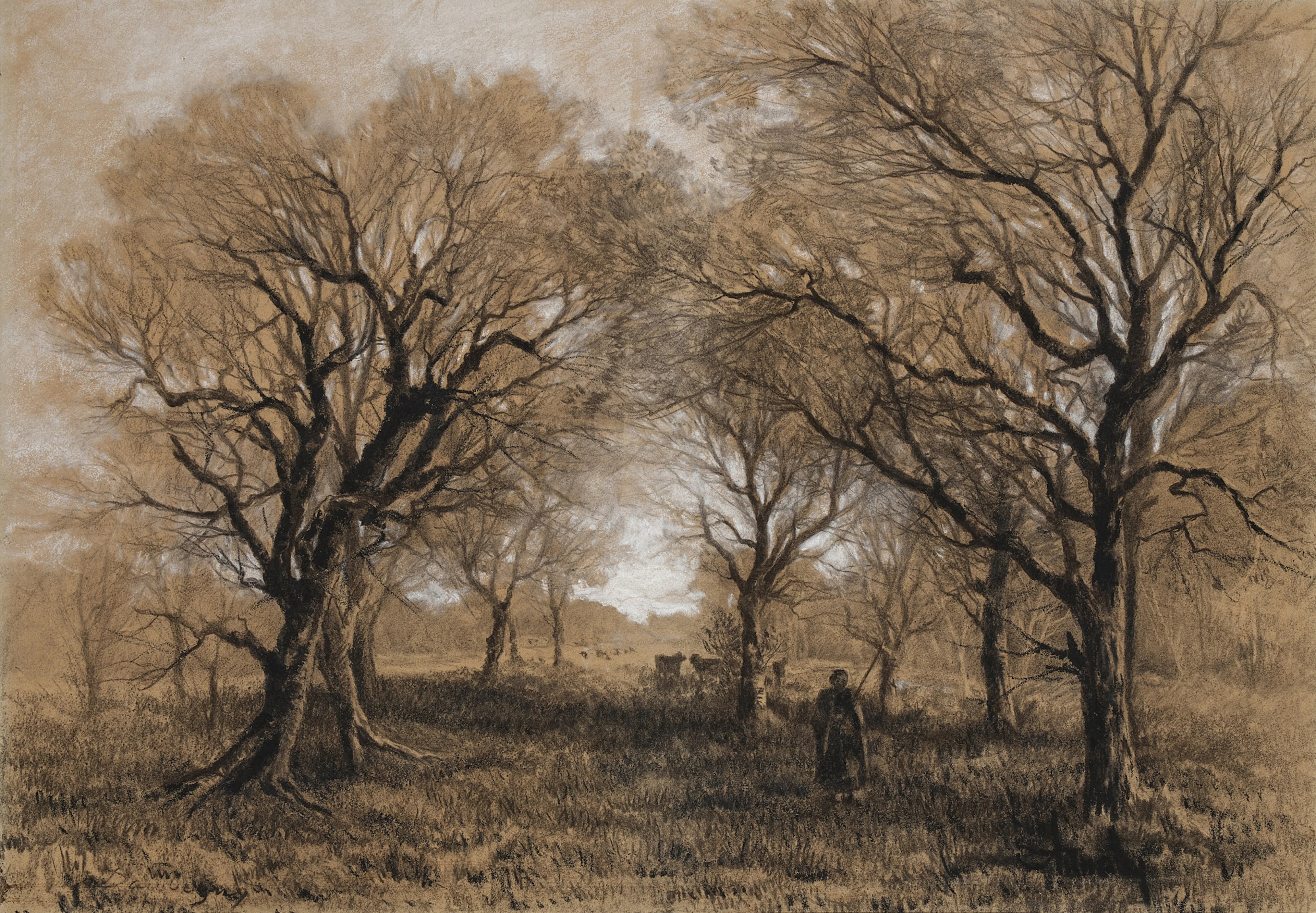 A Wooded Landscape