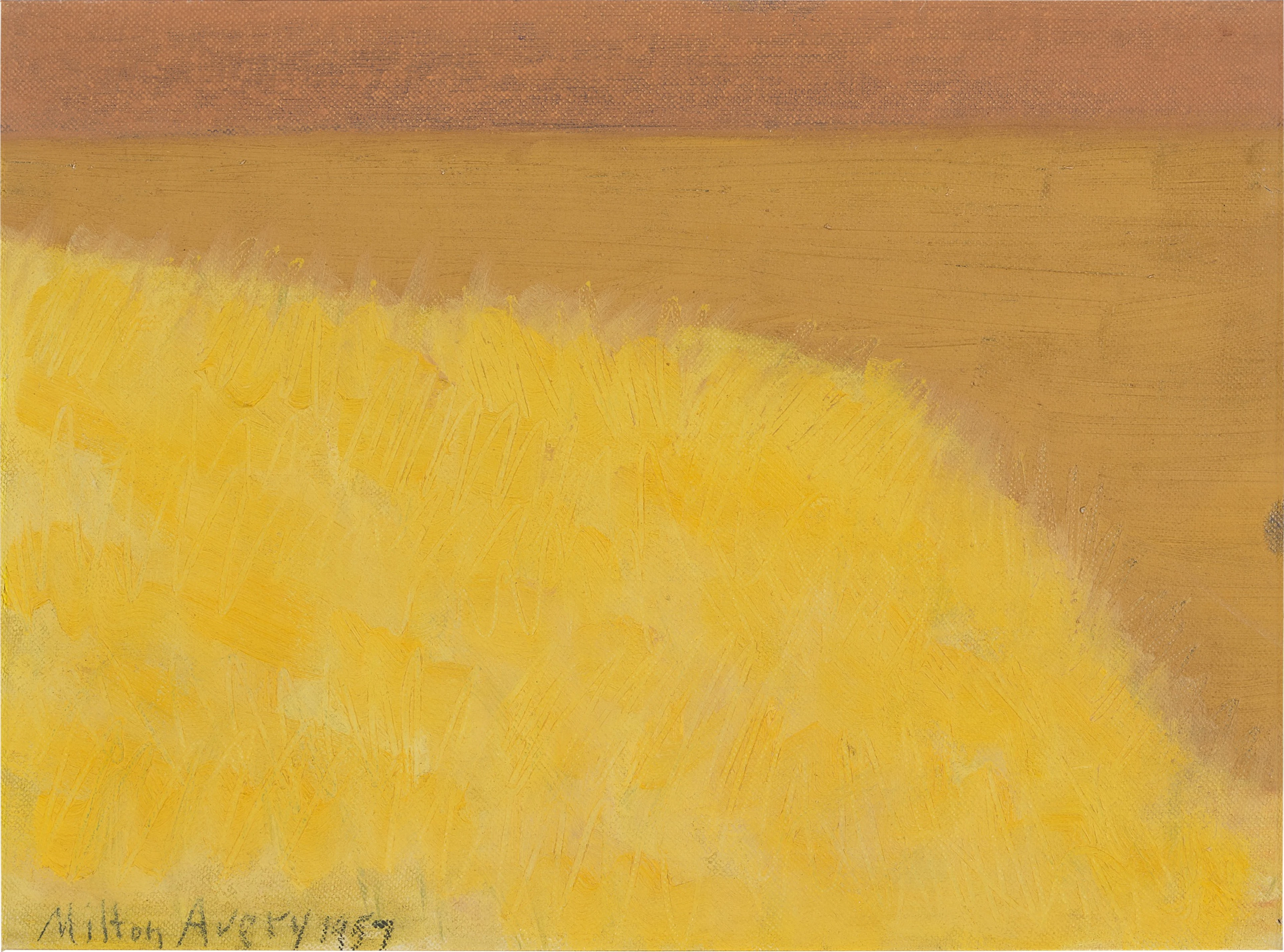 Yellow Grasses