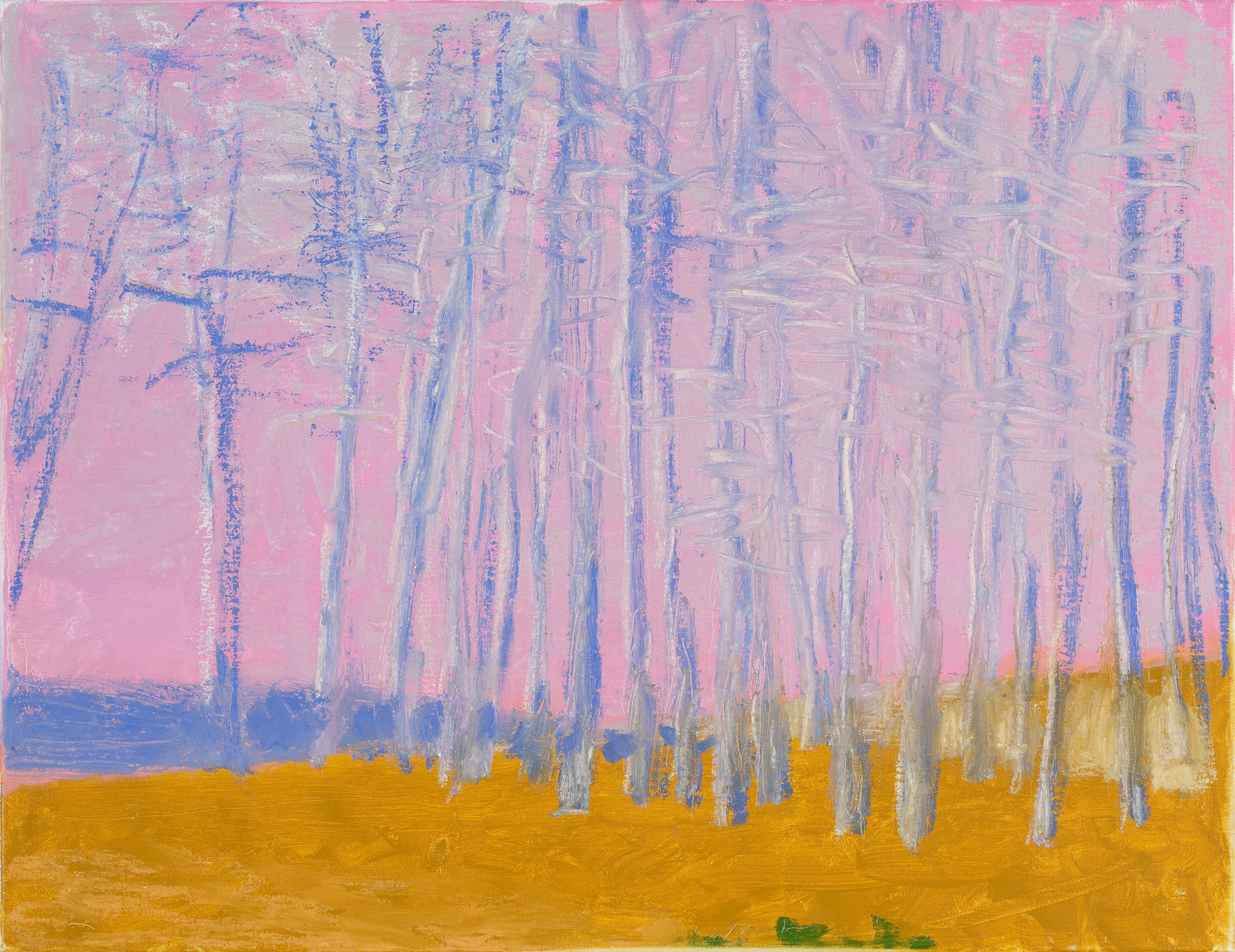 Lean Landscape
