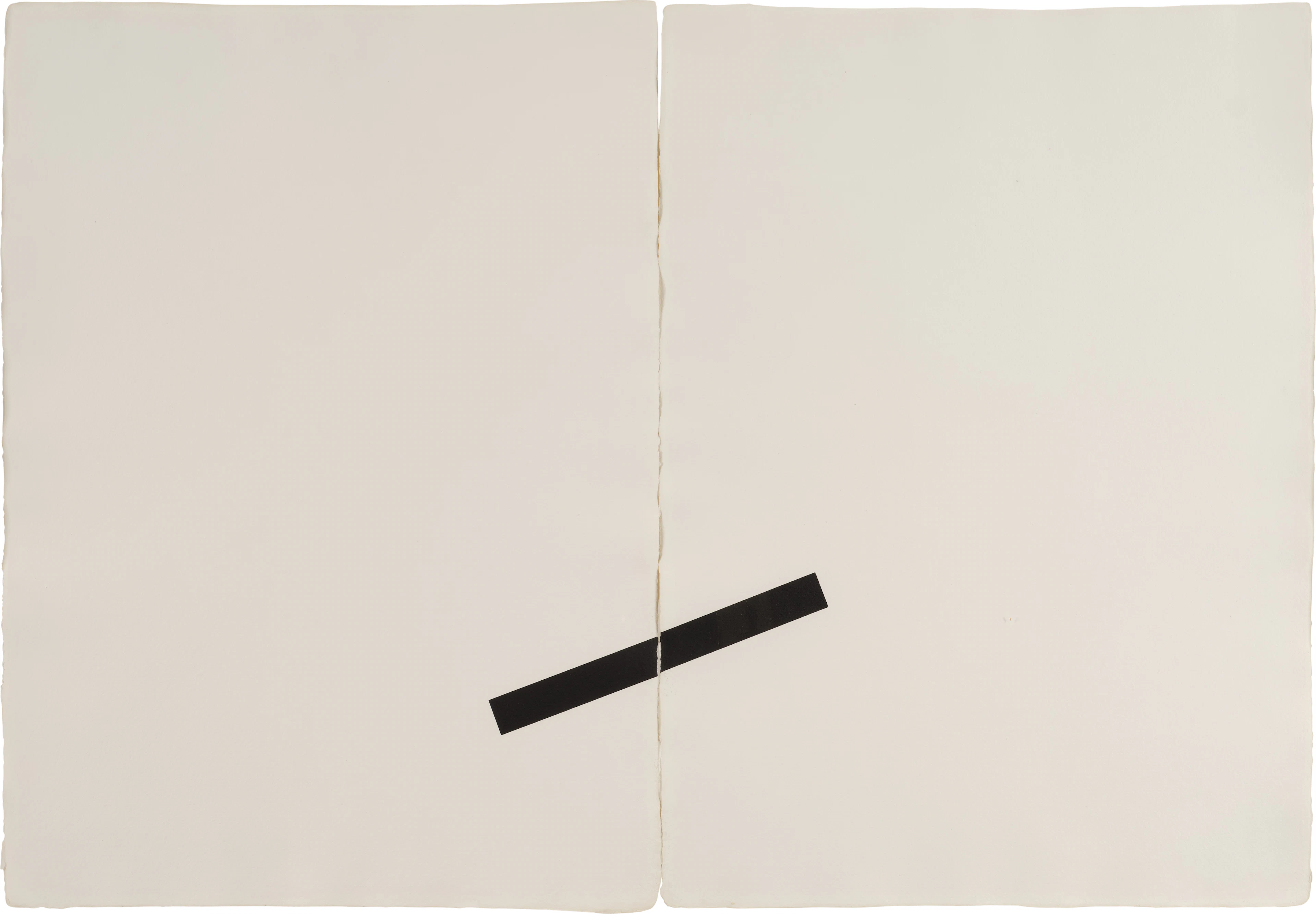 Print (diptych)