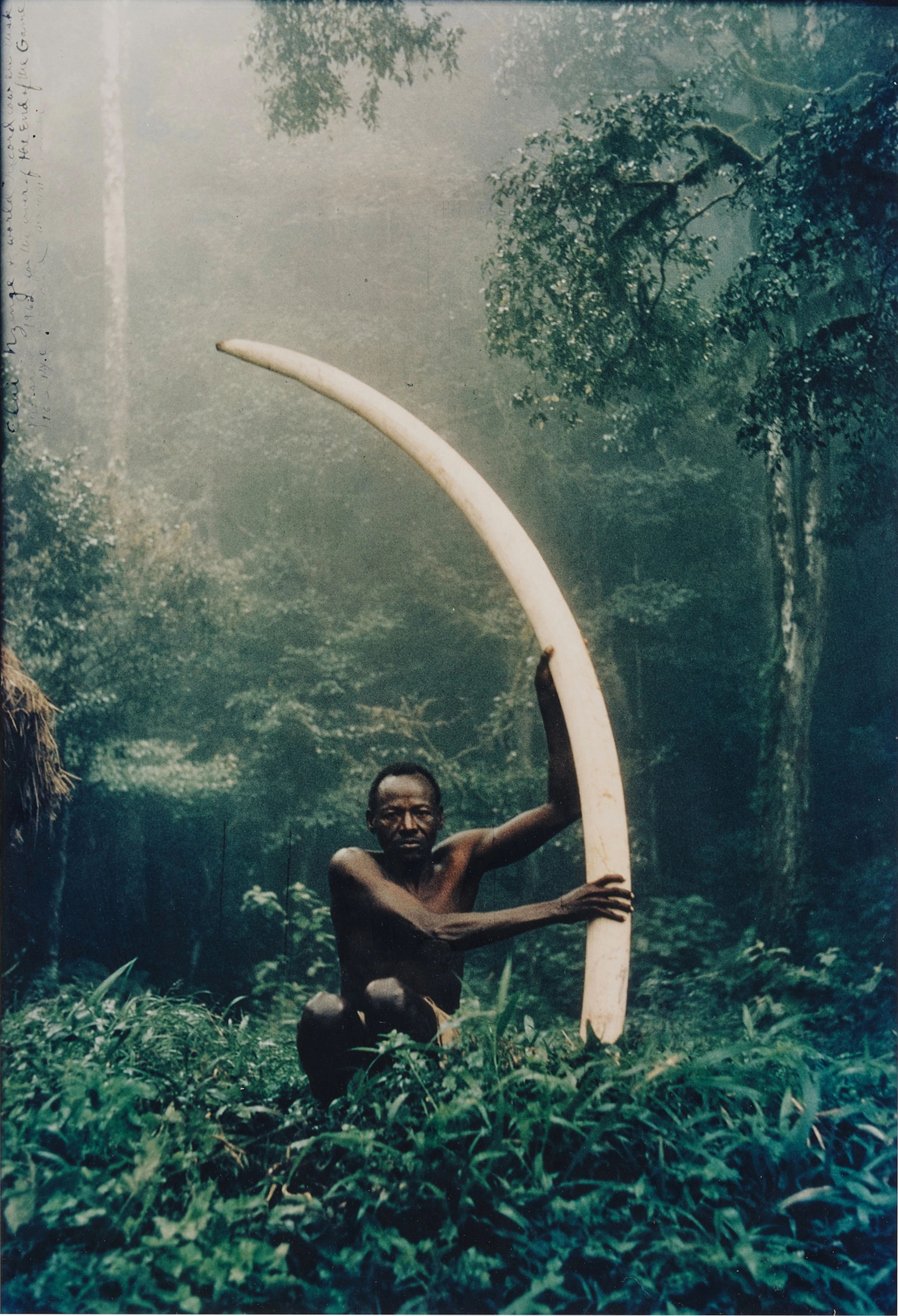 'Elui Nzenge + world record cow ele tusk, Marasabit'