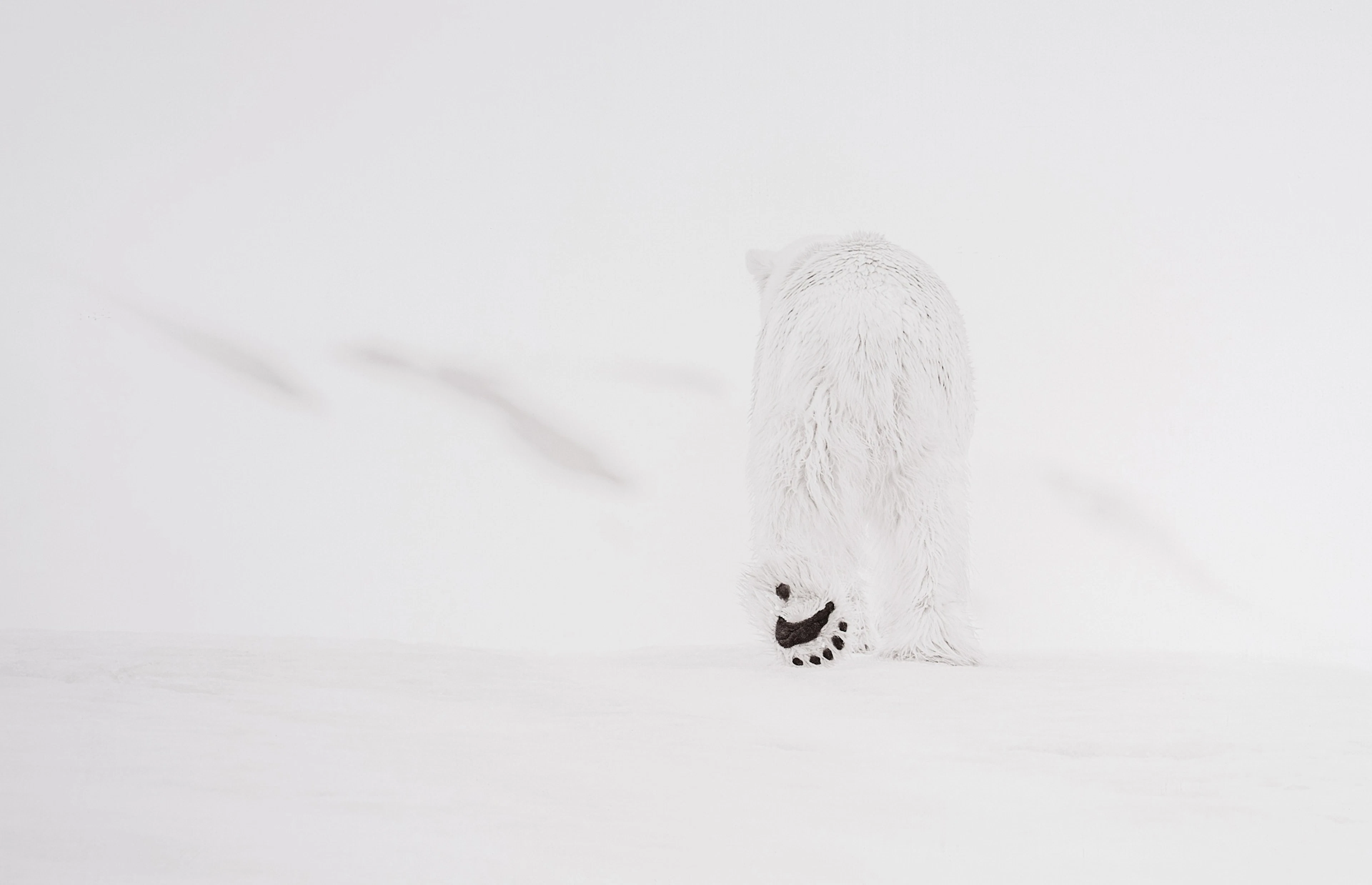 78 Degrees North, Svalbard, Norway