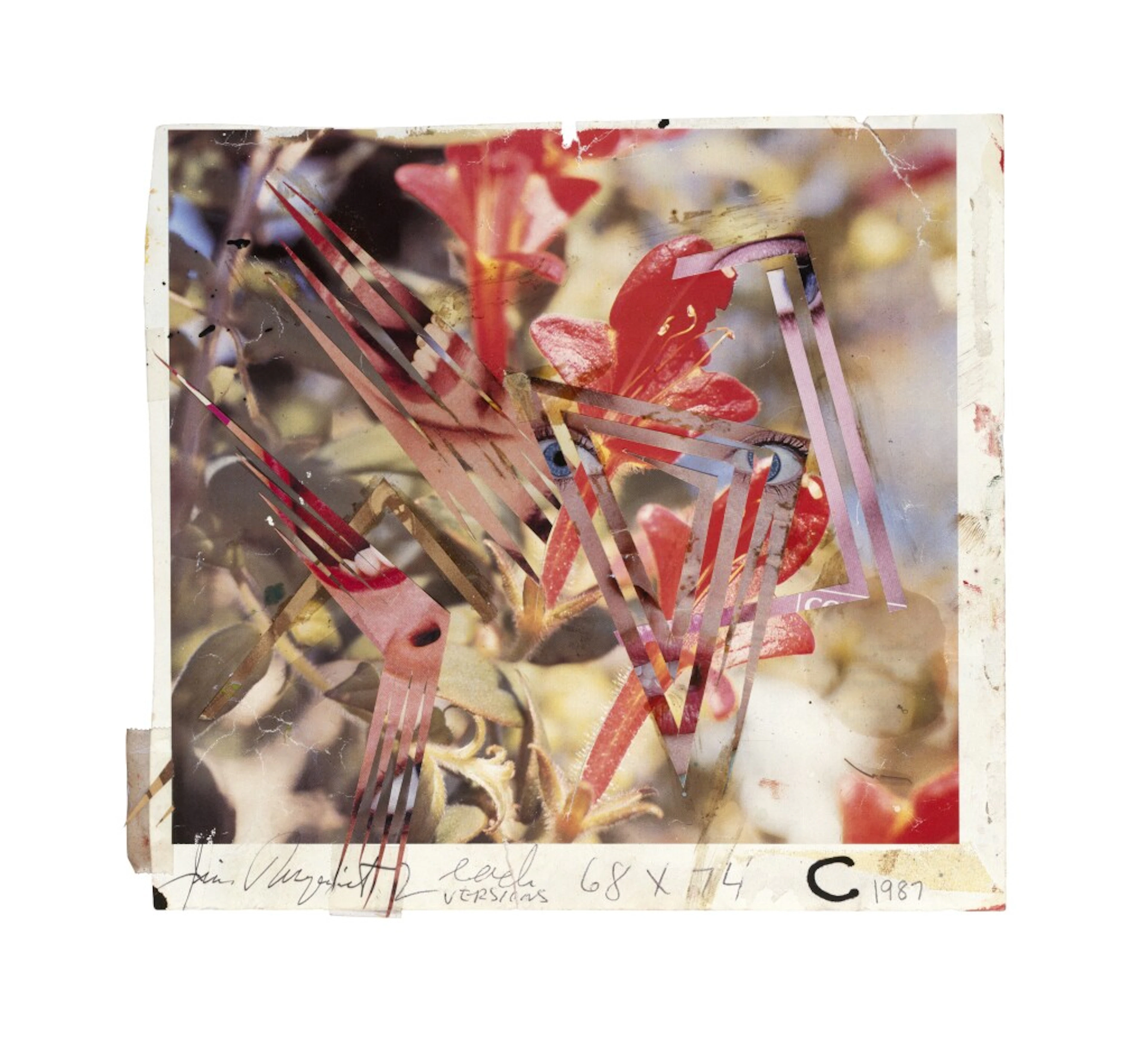 Source for Eye and Flower and Untitled