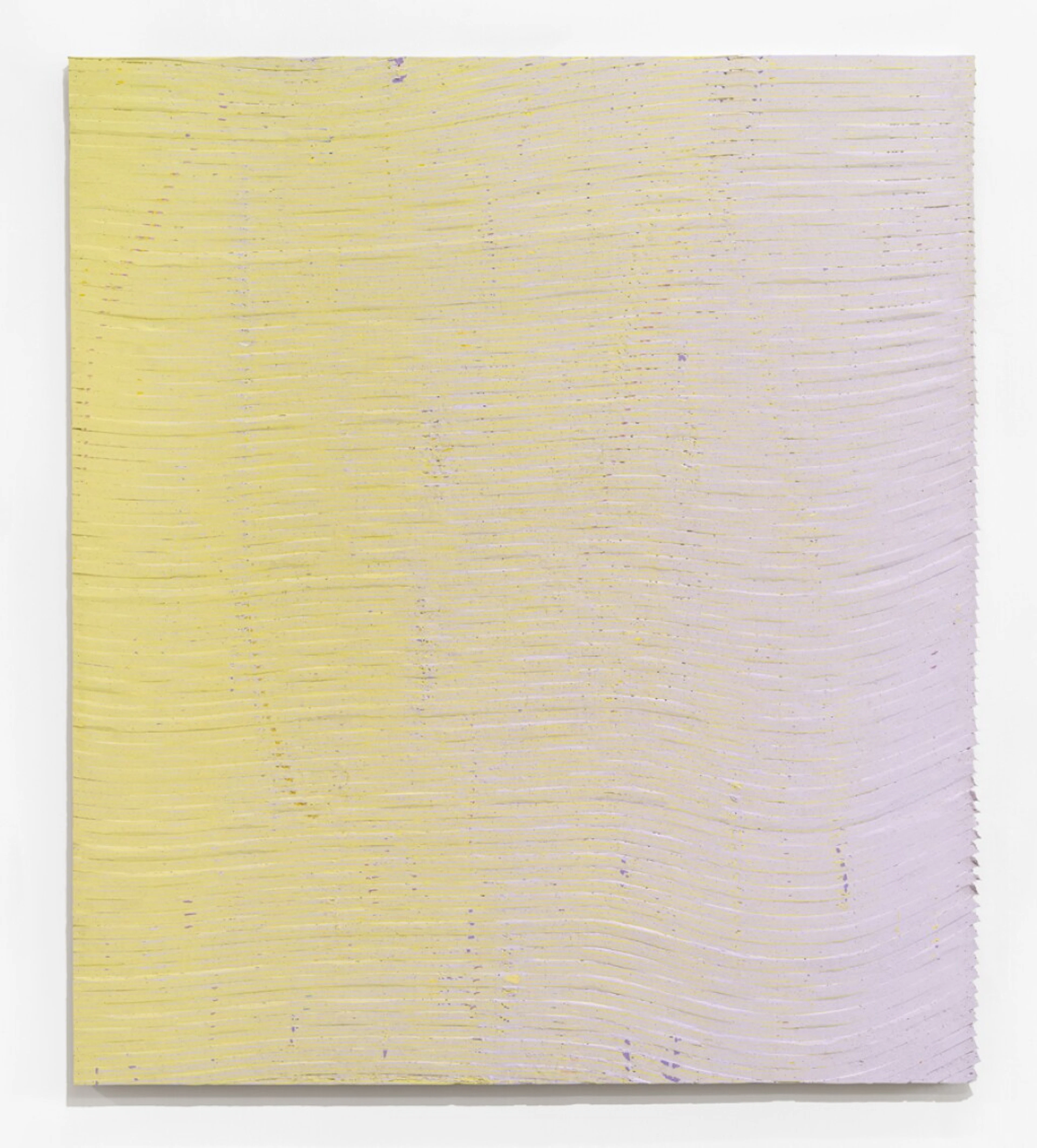 Yellow Purple