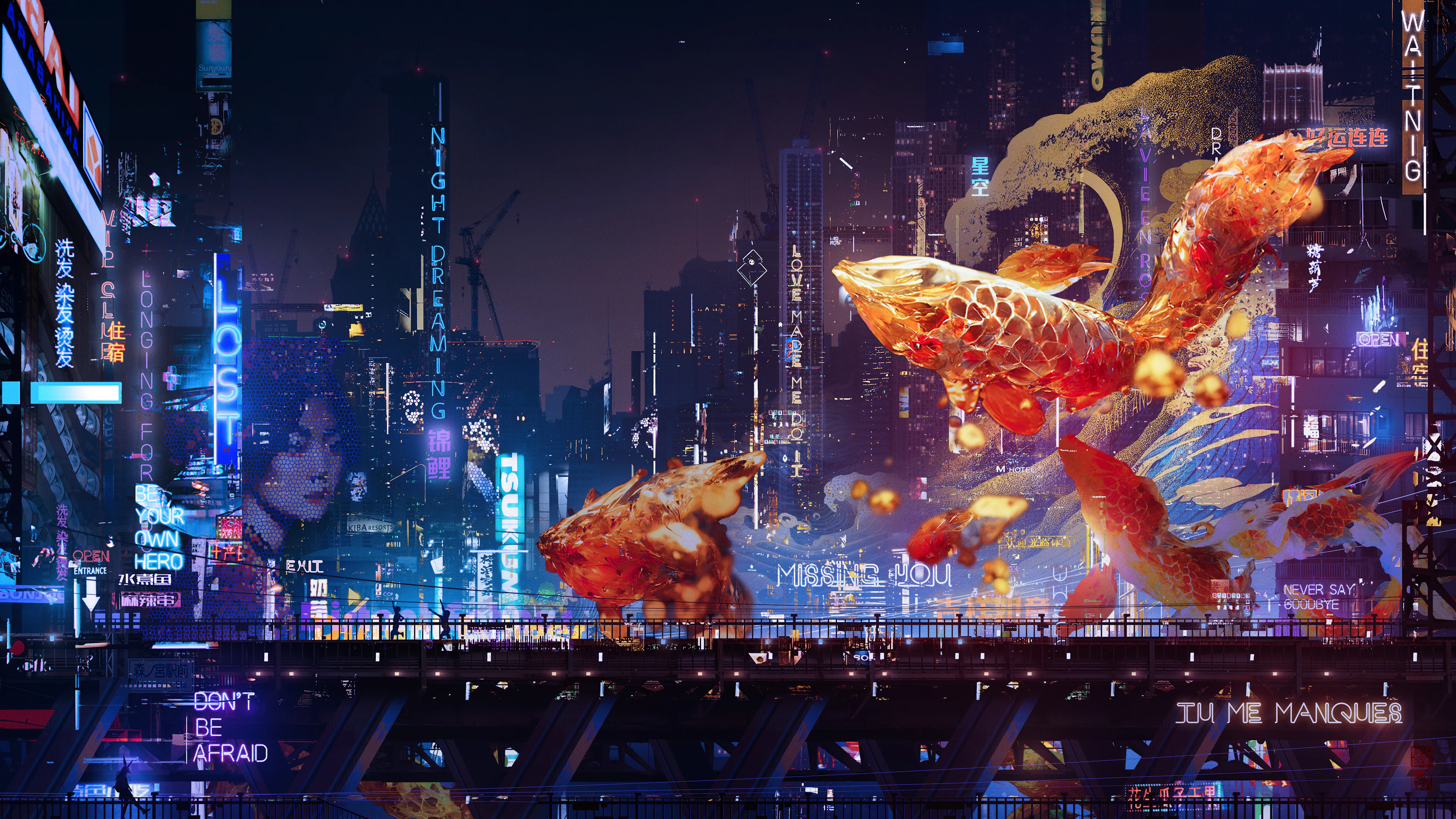Koi in Starry Night / 星空中的锦鲤