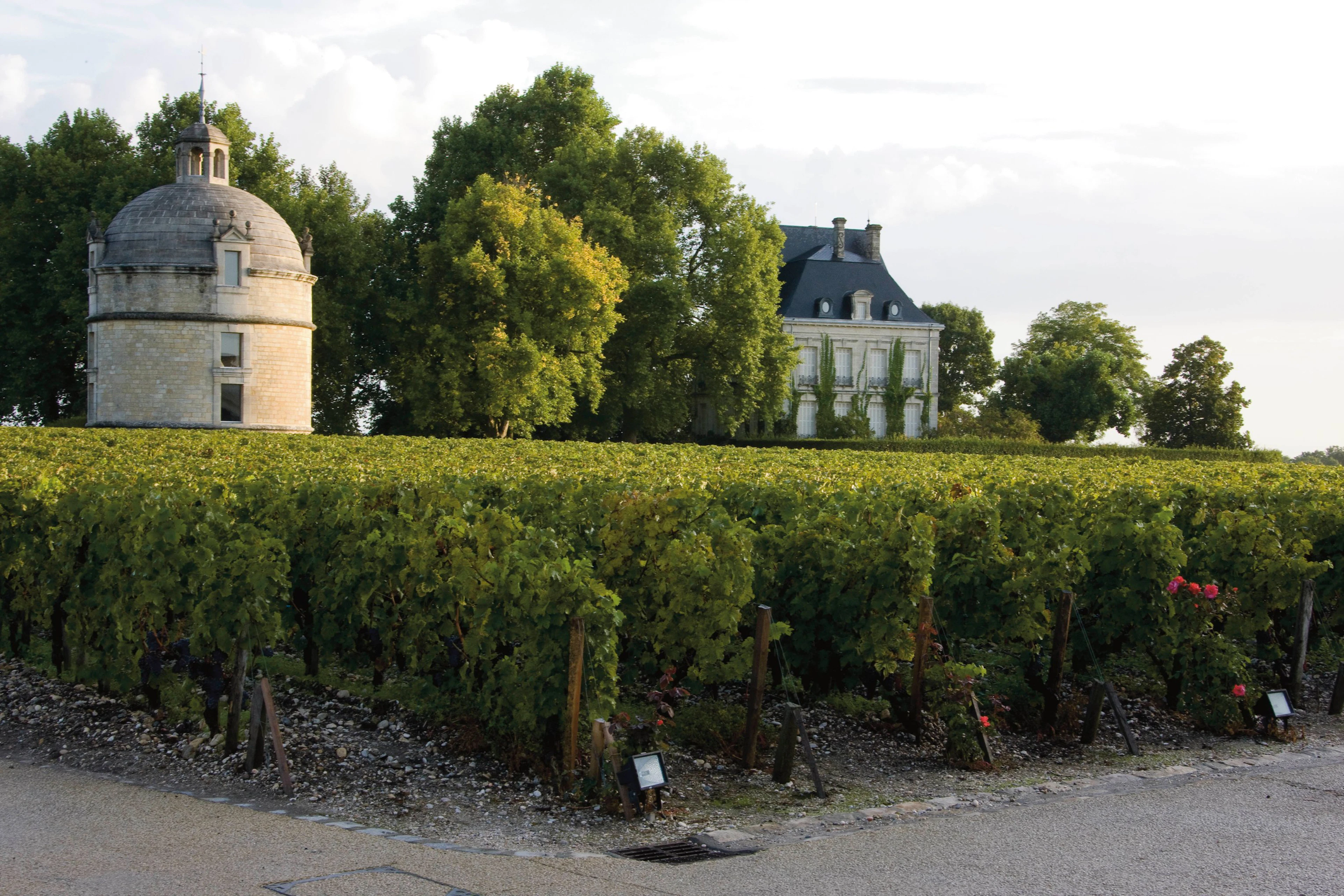 Château Latour 2008 (6 MAG)