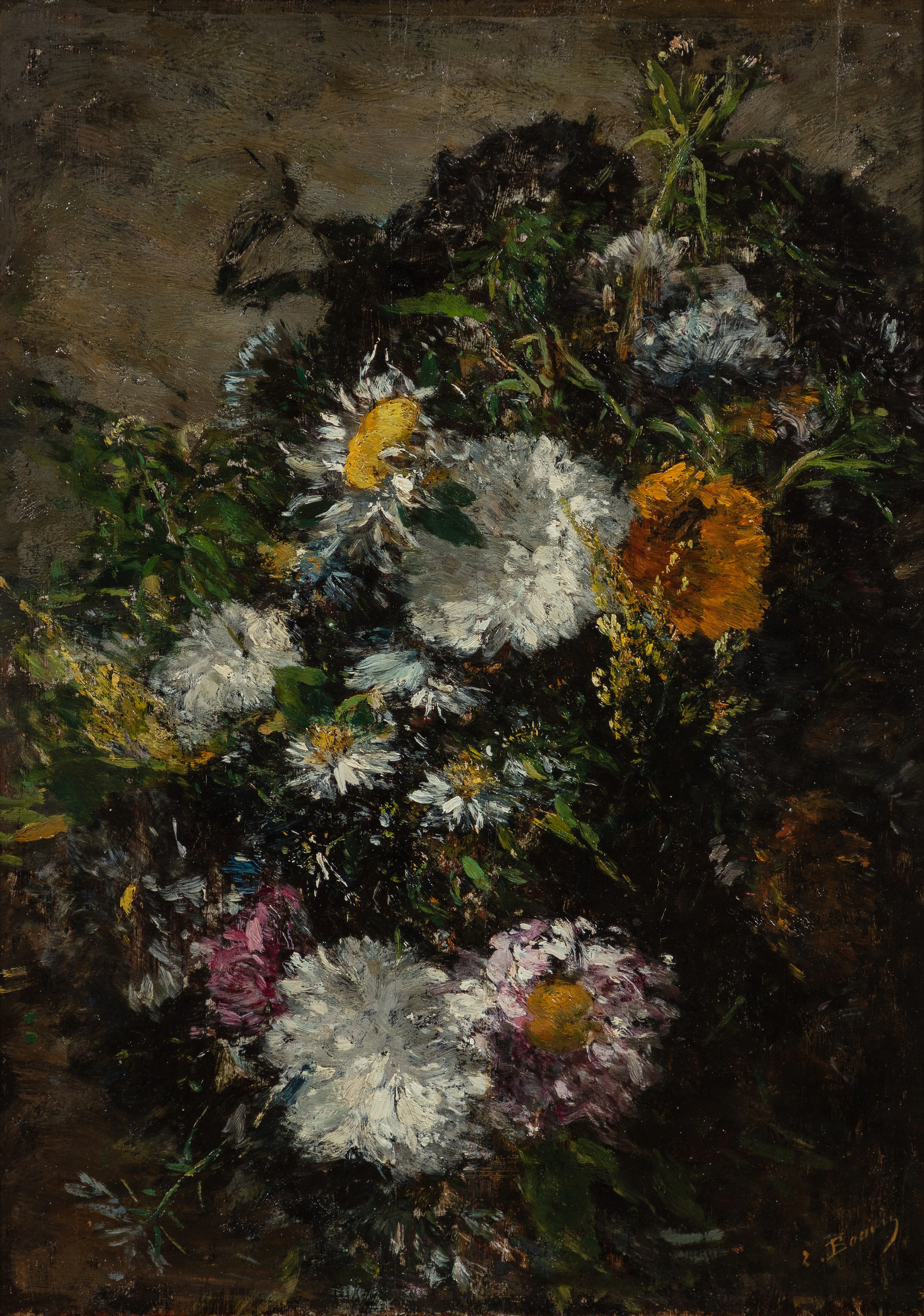 Etude de marguerites