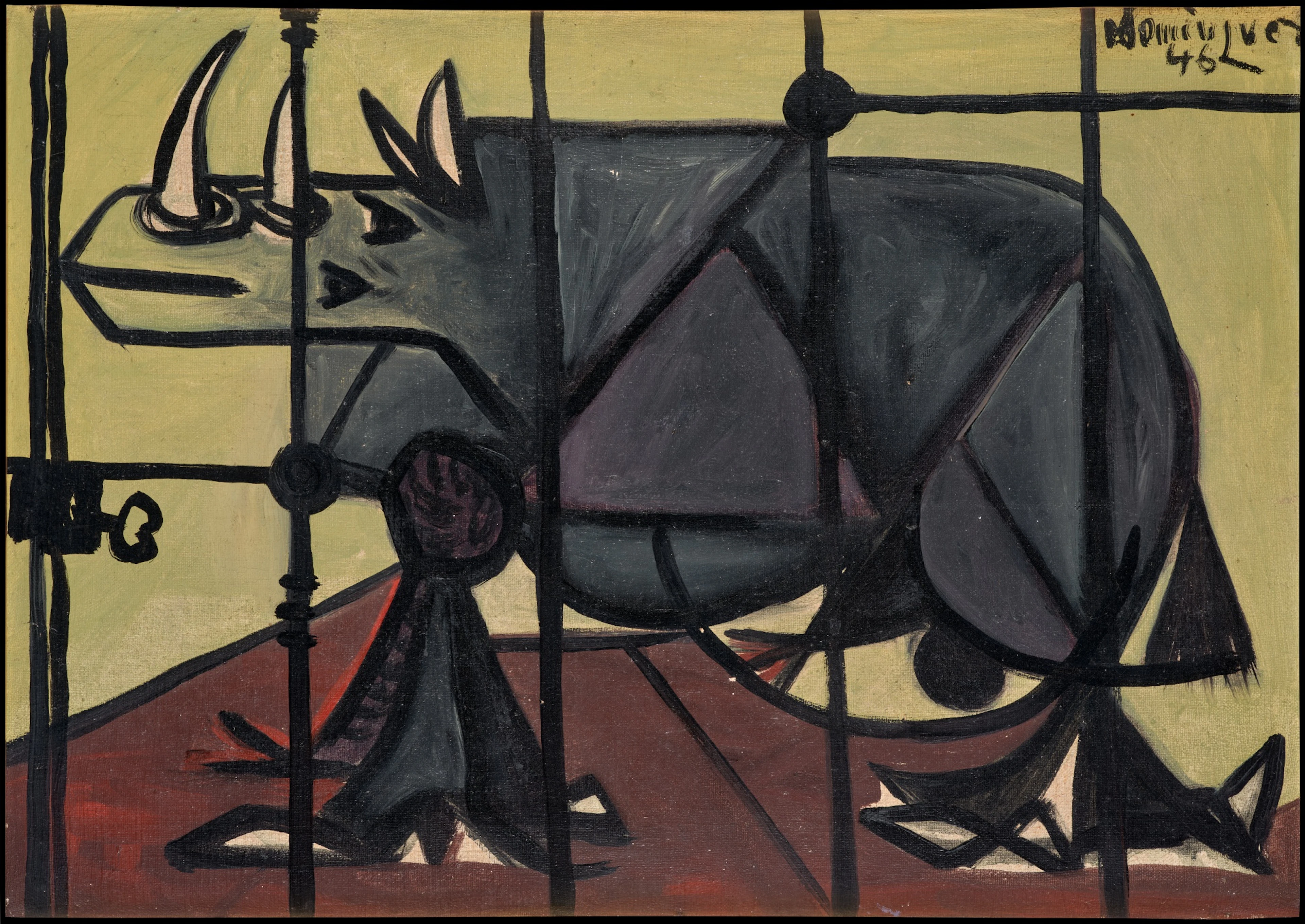Rhinoceronte