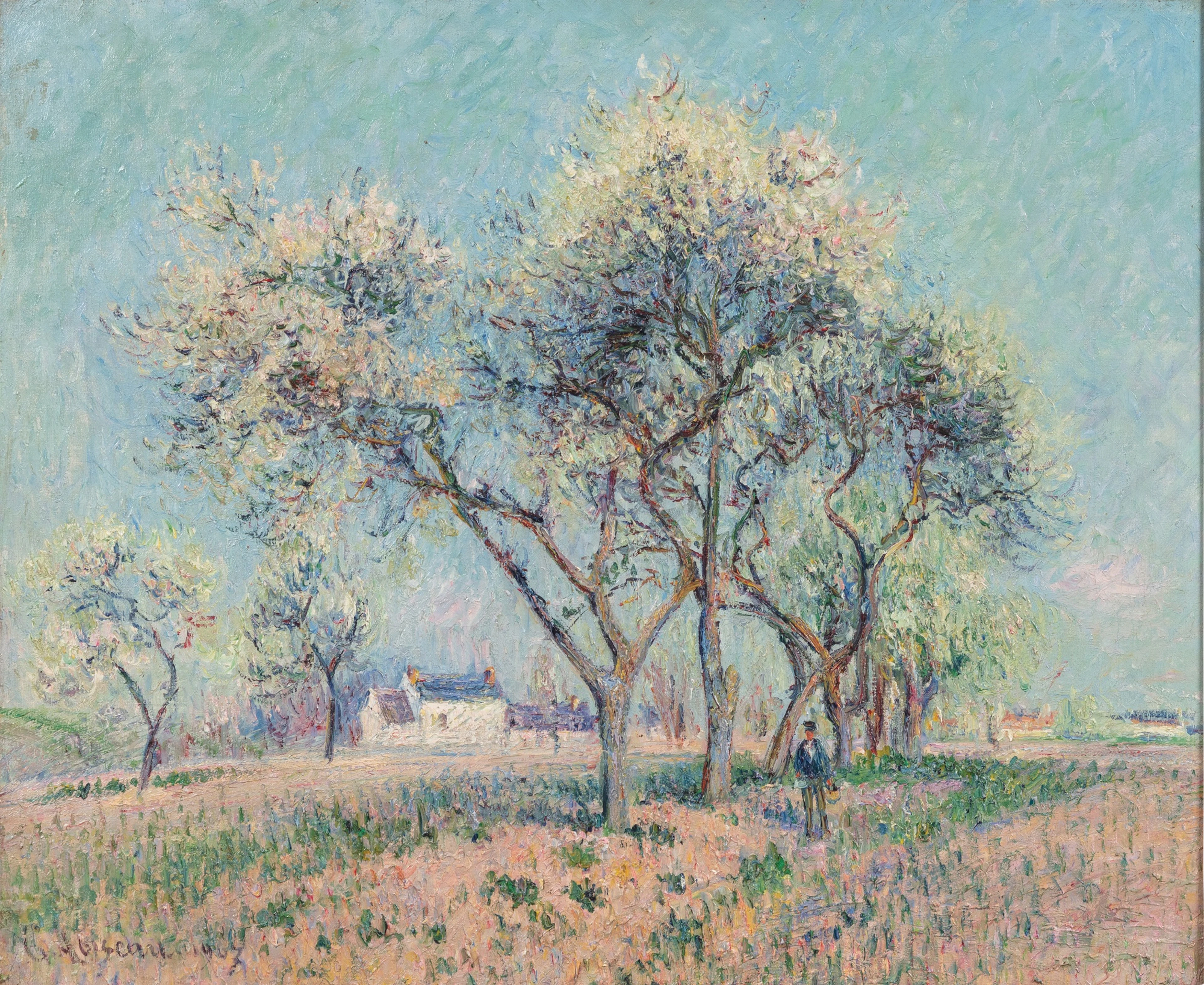 Pommiers en fleurs