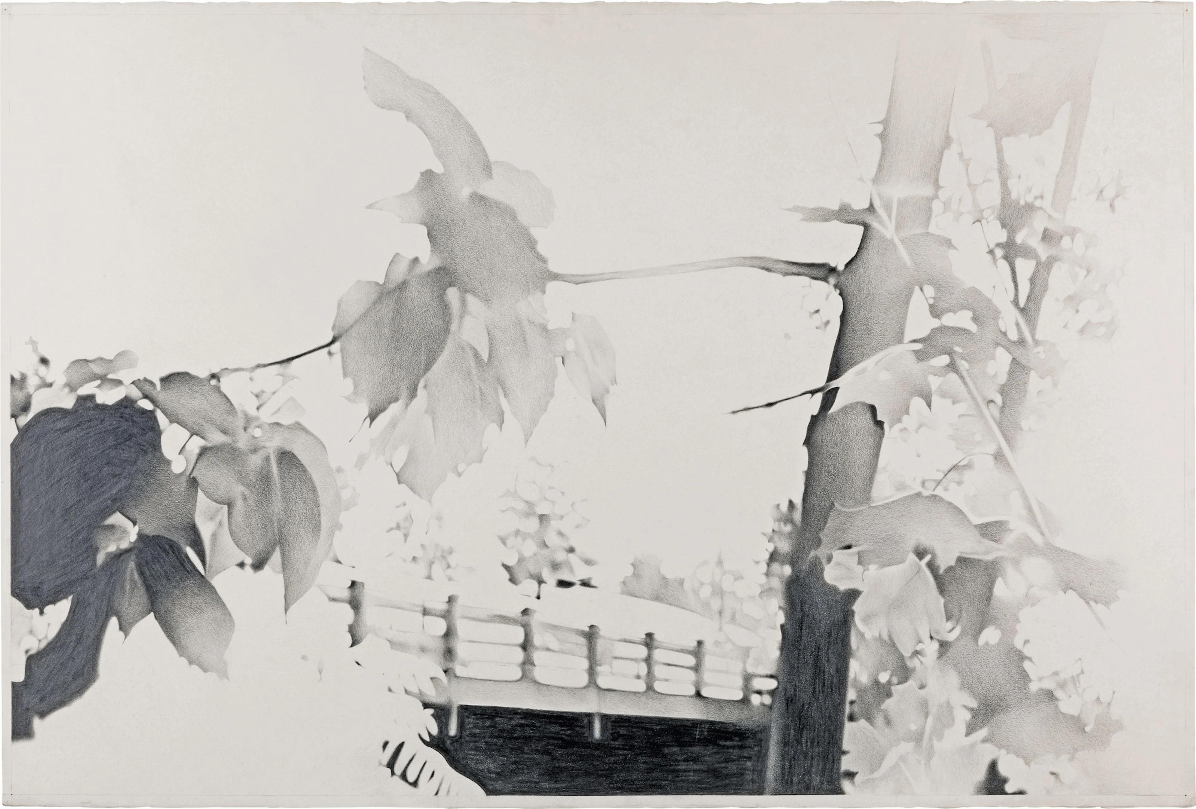 Ithaca Suicide Drawing