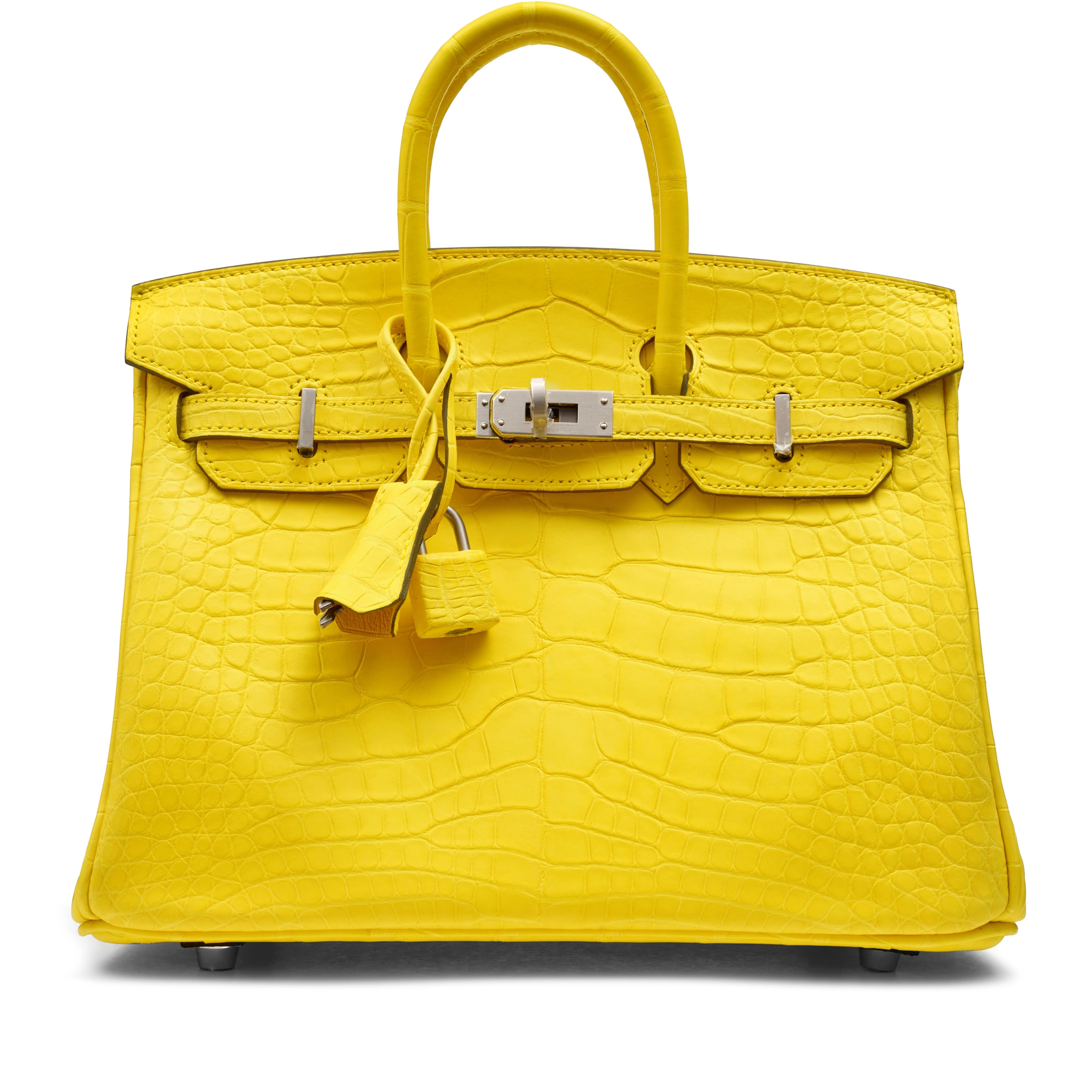 Mimosa Matte Porosus Crocodile HSS Birkin 25 Brushed Palladium Hardware, 2021