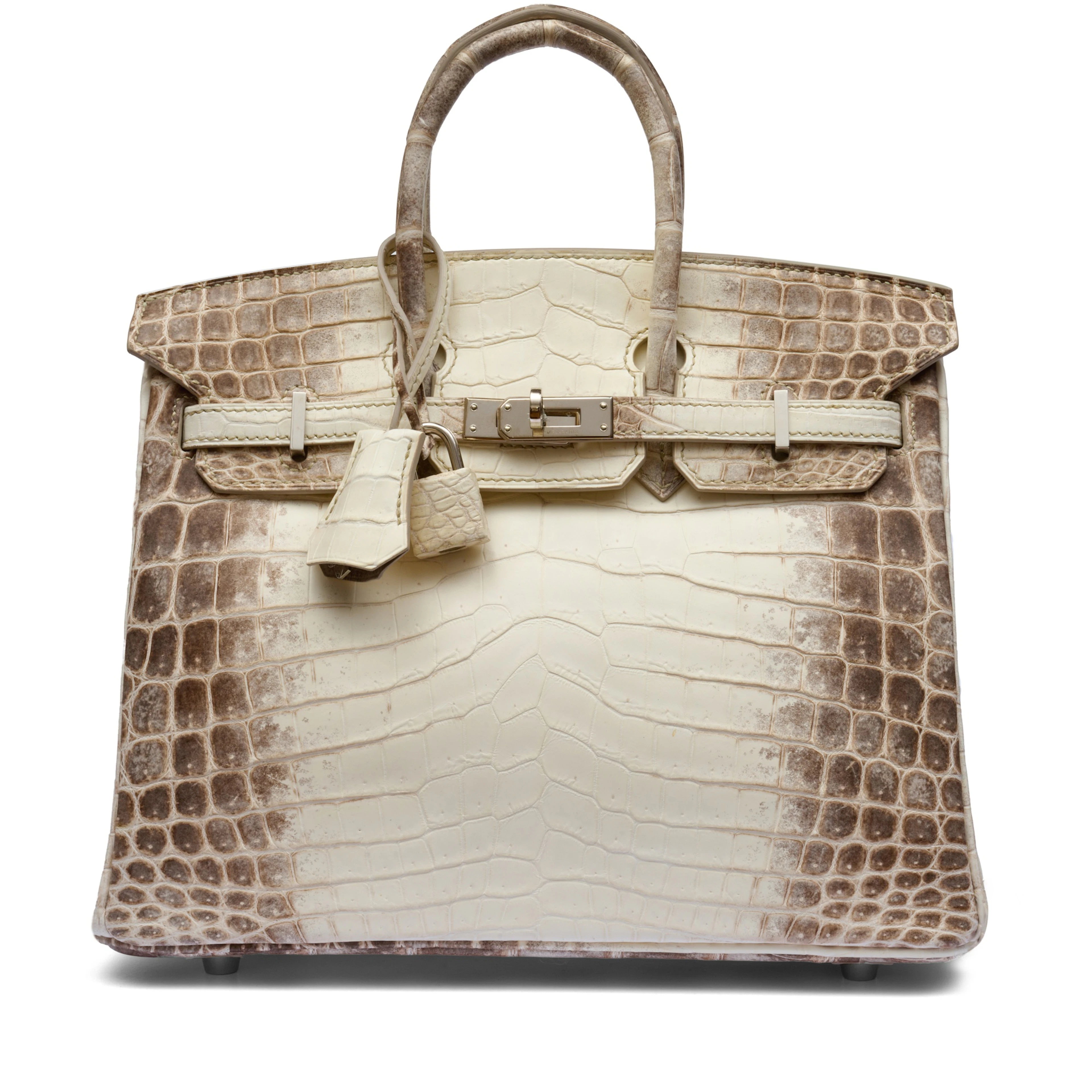 White Matte Niloticus Crocodile Himalaya Birkin 25 Palladium Hardware, 2015