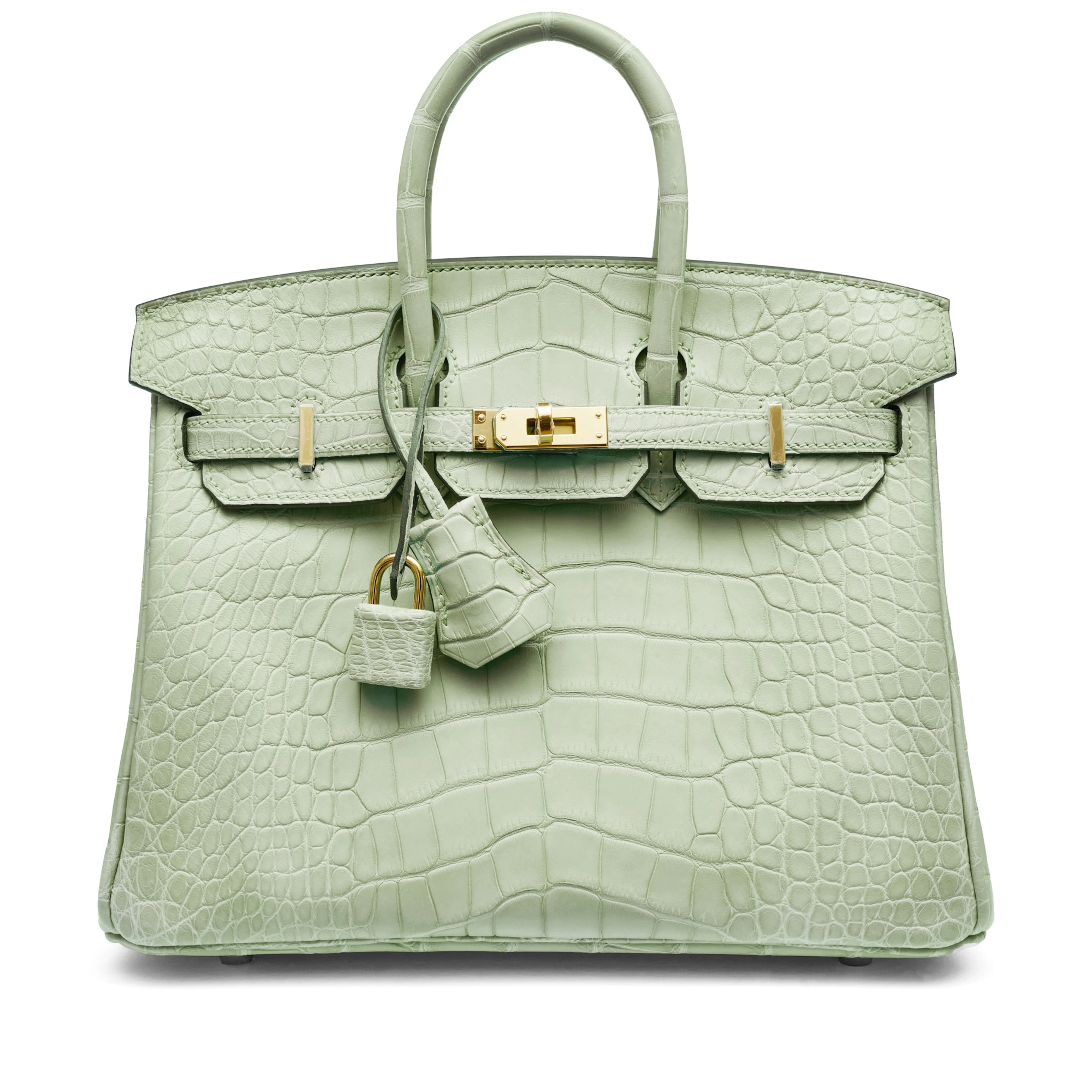 Vert D'Eau Matte Alligator Birkin 25 Gold Hardware, 2023