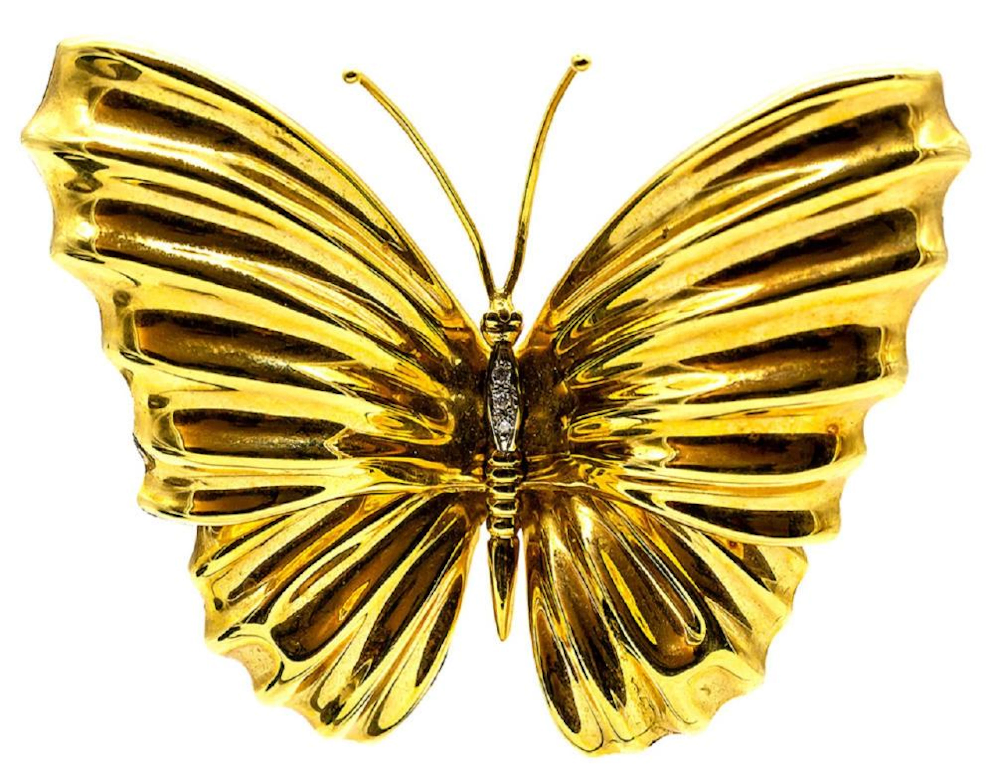 Brooch / Spilla farfalla