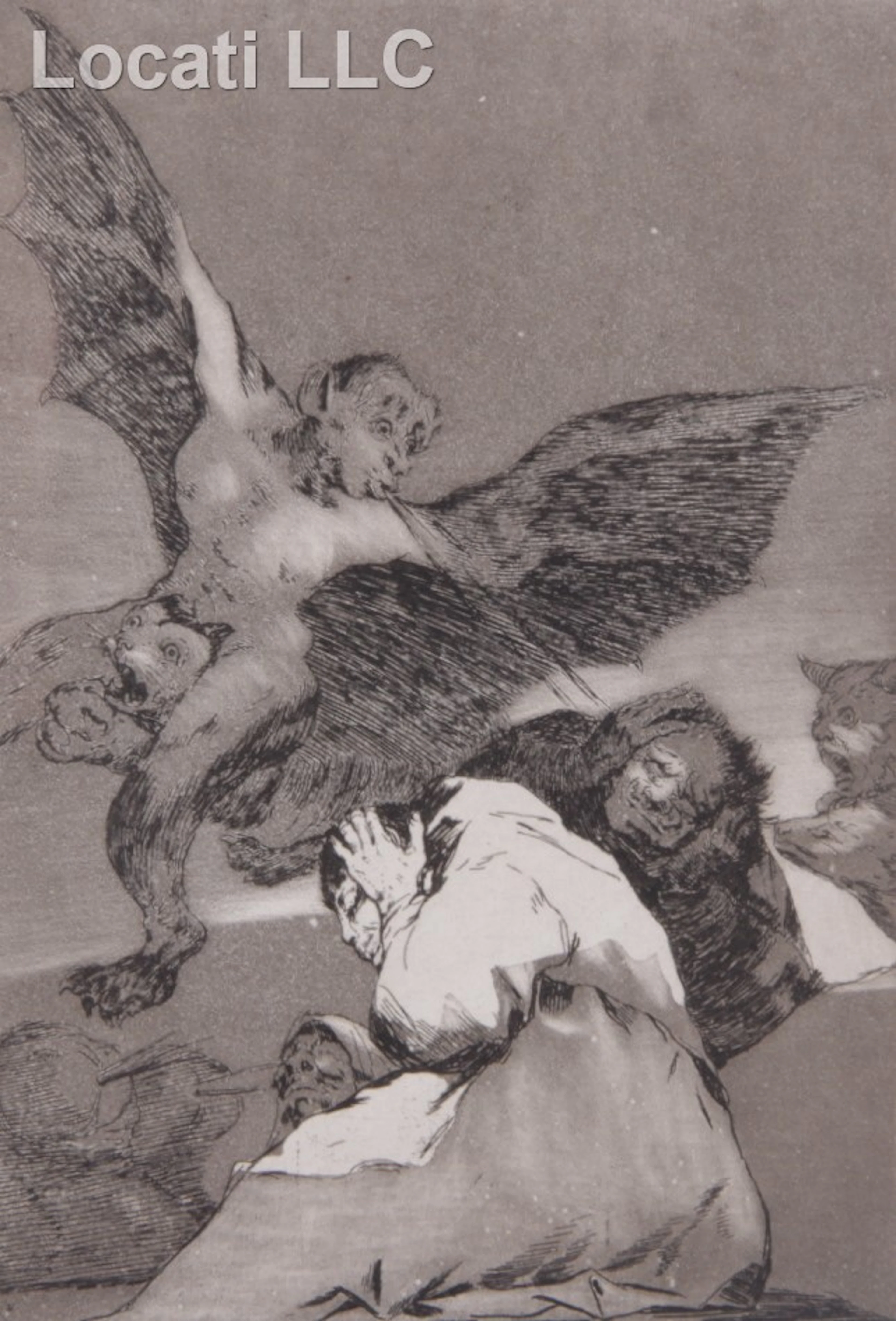 Francisco Goya y Lucientes (1746?1828) Plate 48 from Los Caprichos