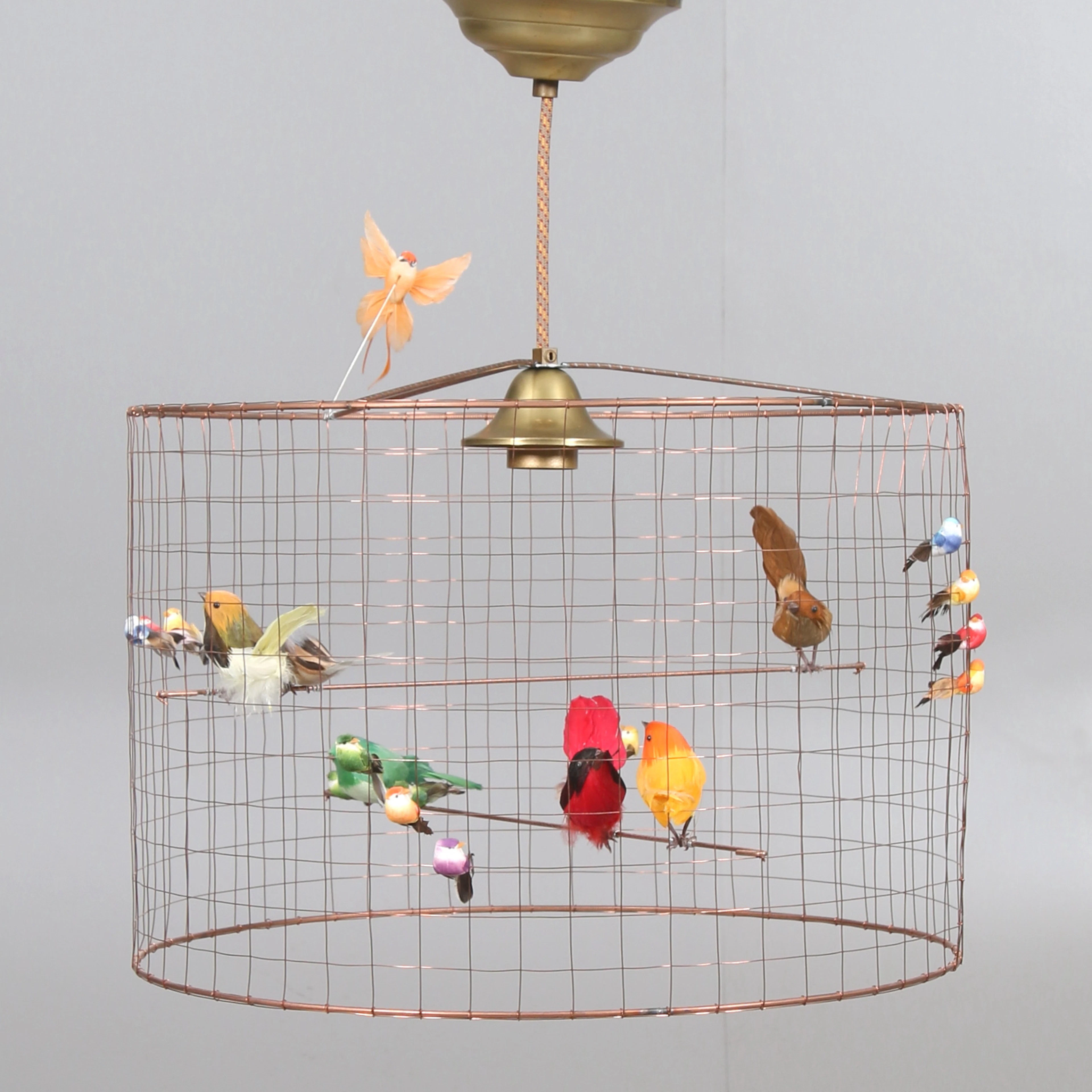 TAKLAMPA, "Petit Voilière", Mathieu Challièrs, 2000-tal.