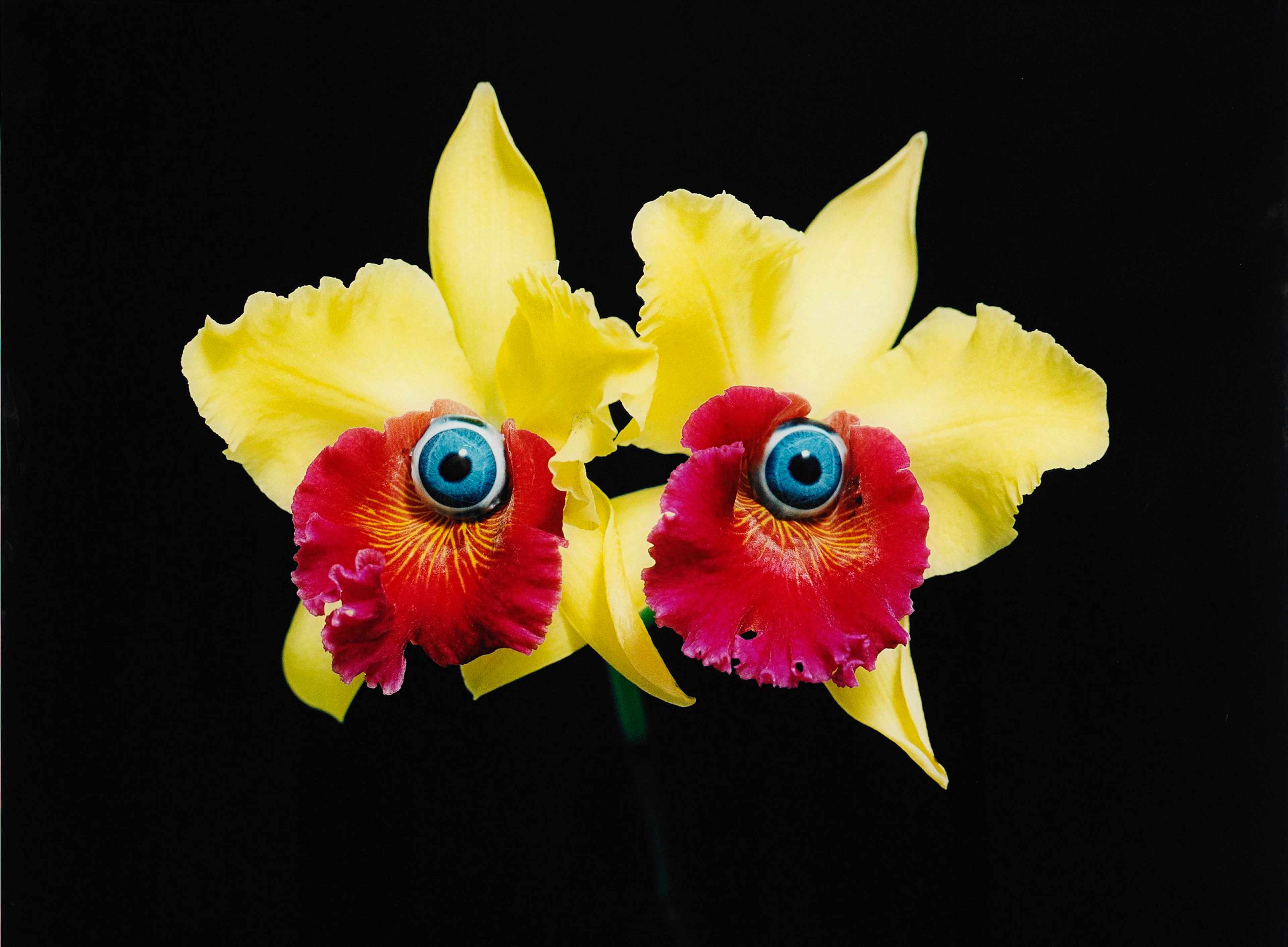 Nathalia Edenmont, Mask