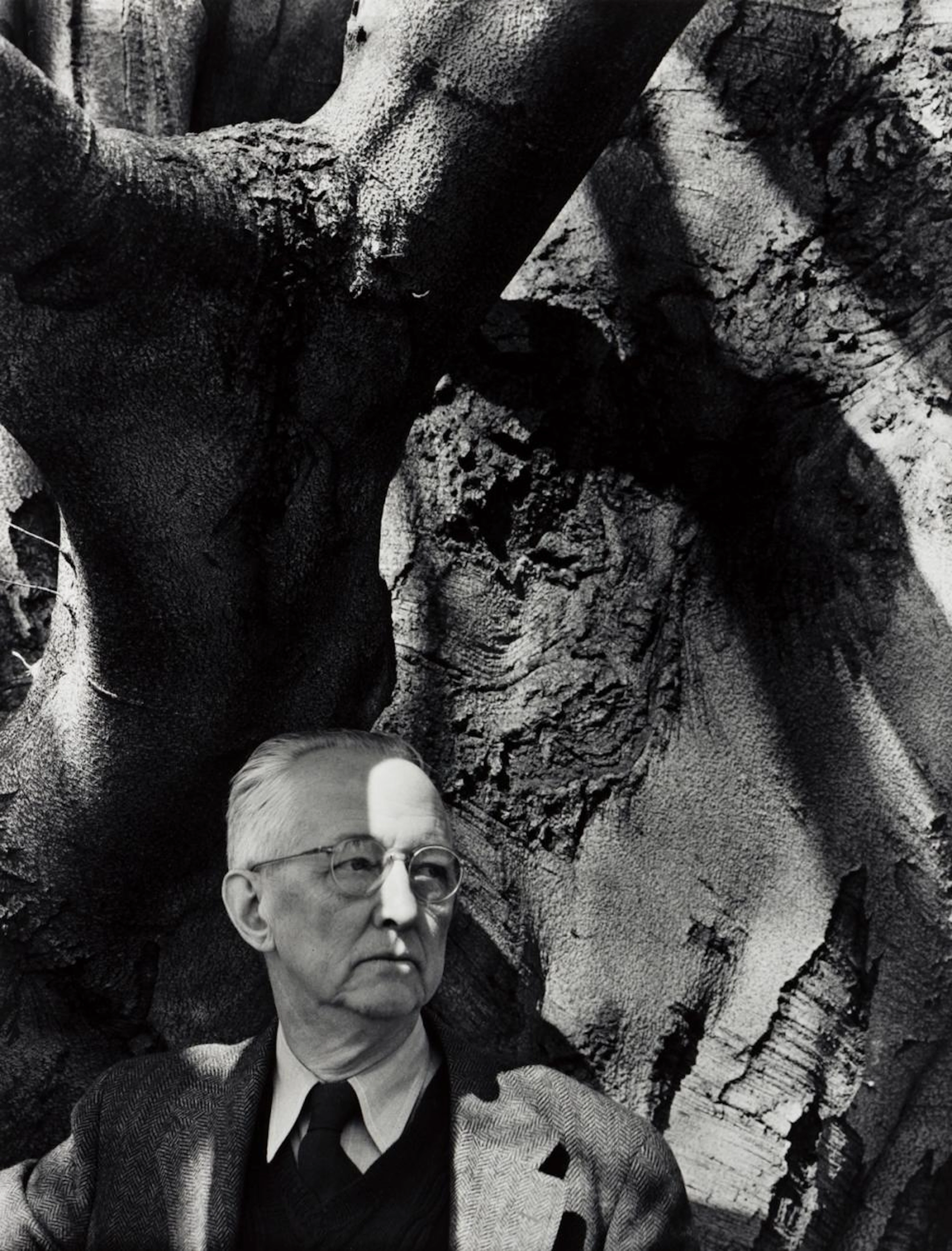 BARBARA MORGAN (1900-1992) Charles Sheeler and his Favorite Beech Tree.