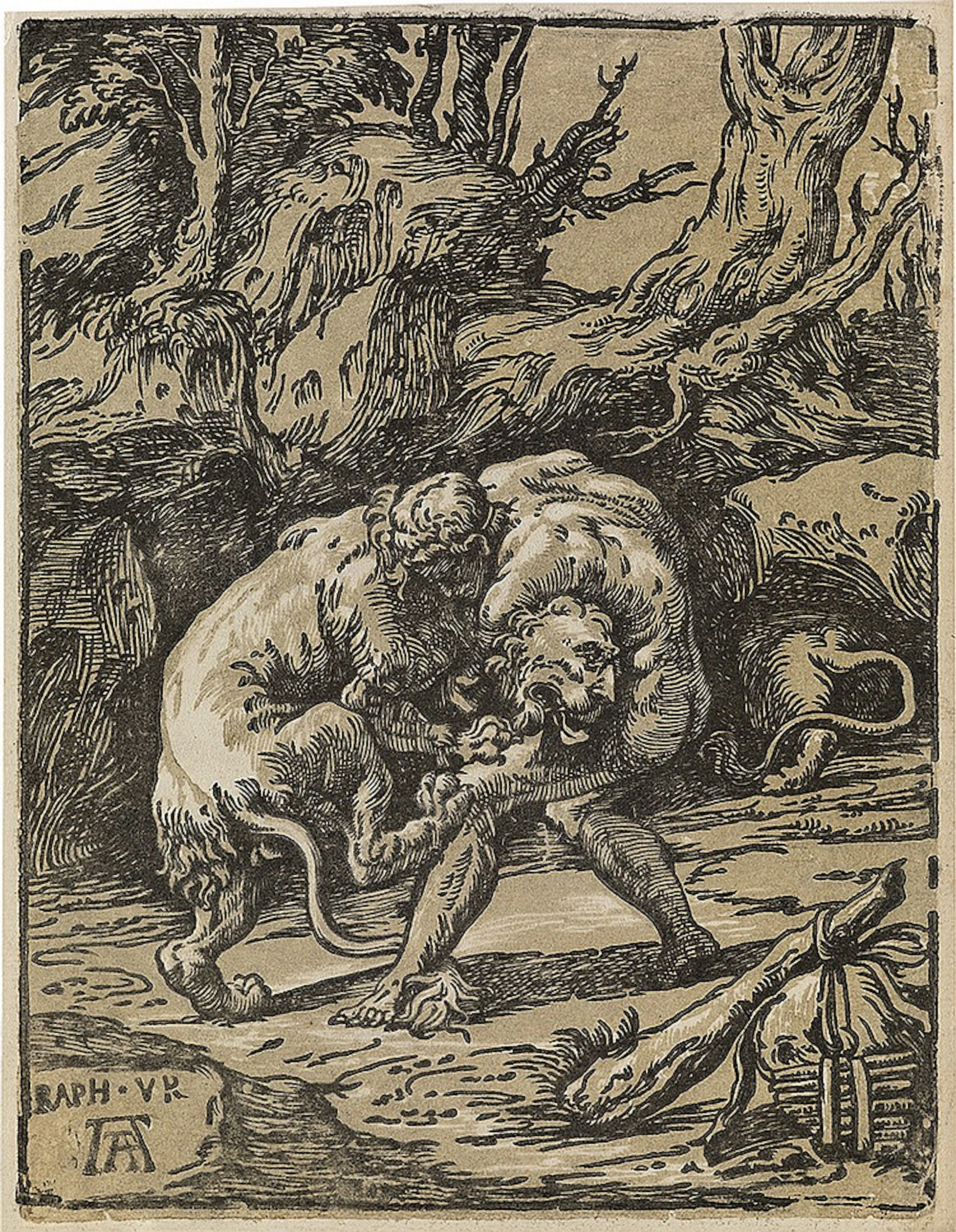 NICCOLÒ VICENTINO (after Raphael) Hercules and the Nemean Lion