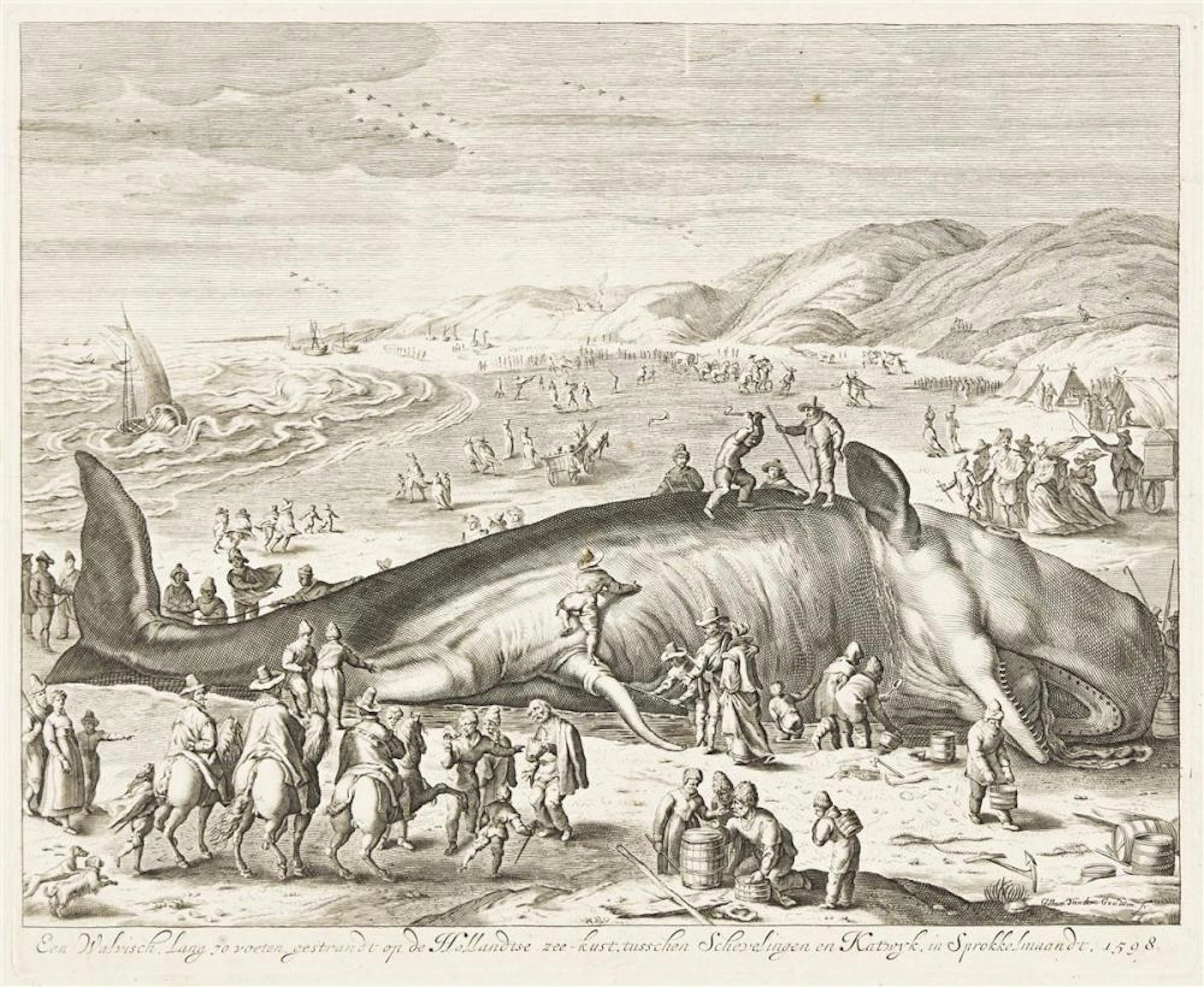 GILLIAM VAN DER GOUWEN (AFTER JACOB MATHAM) Een Walrisch