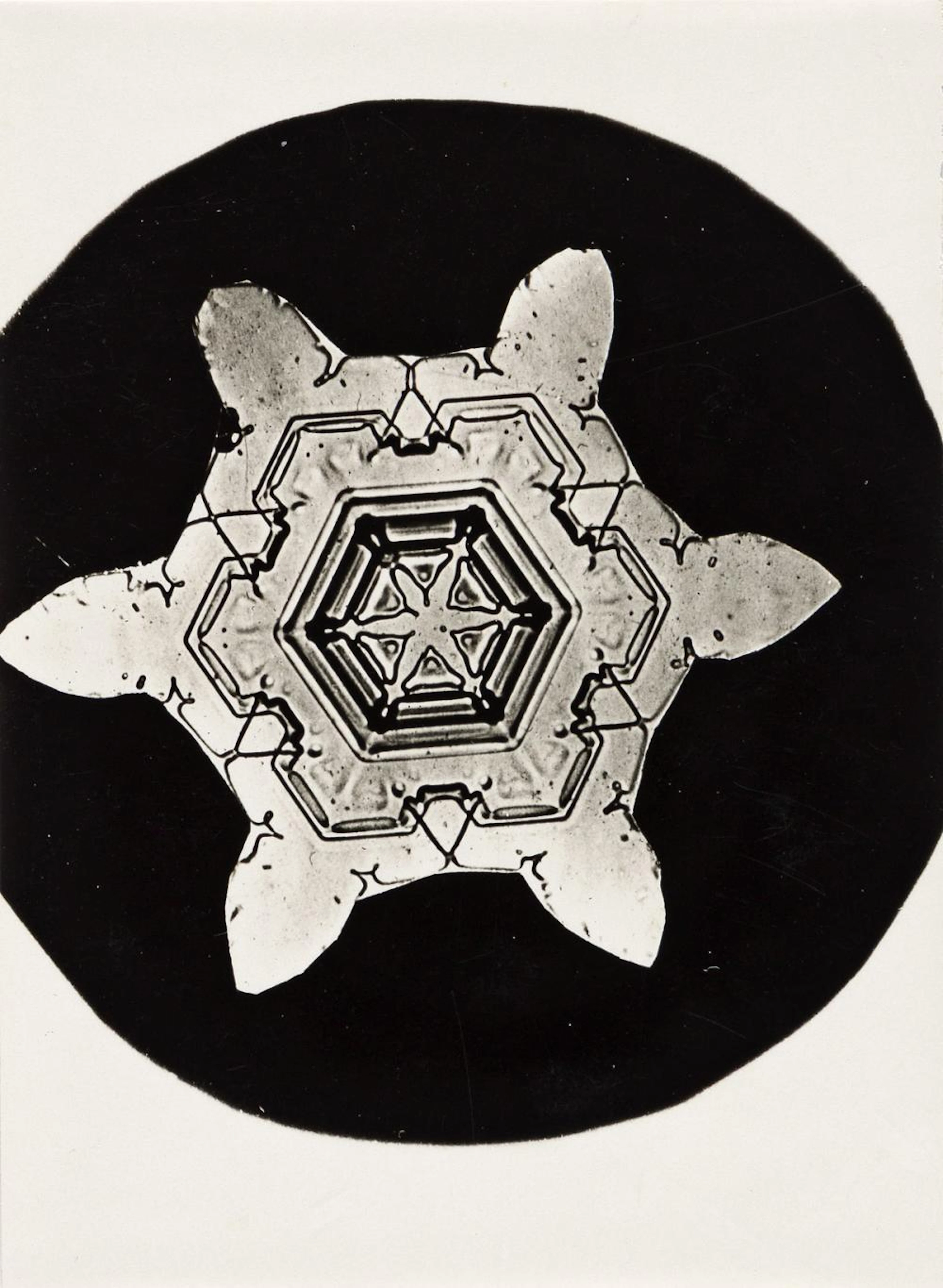 WILSON A. "SNOWFLAKE" BENTLEY (1865-1931) A group of 4 vintage snow crystals.