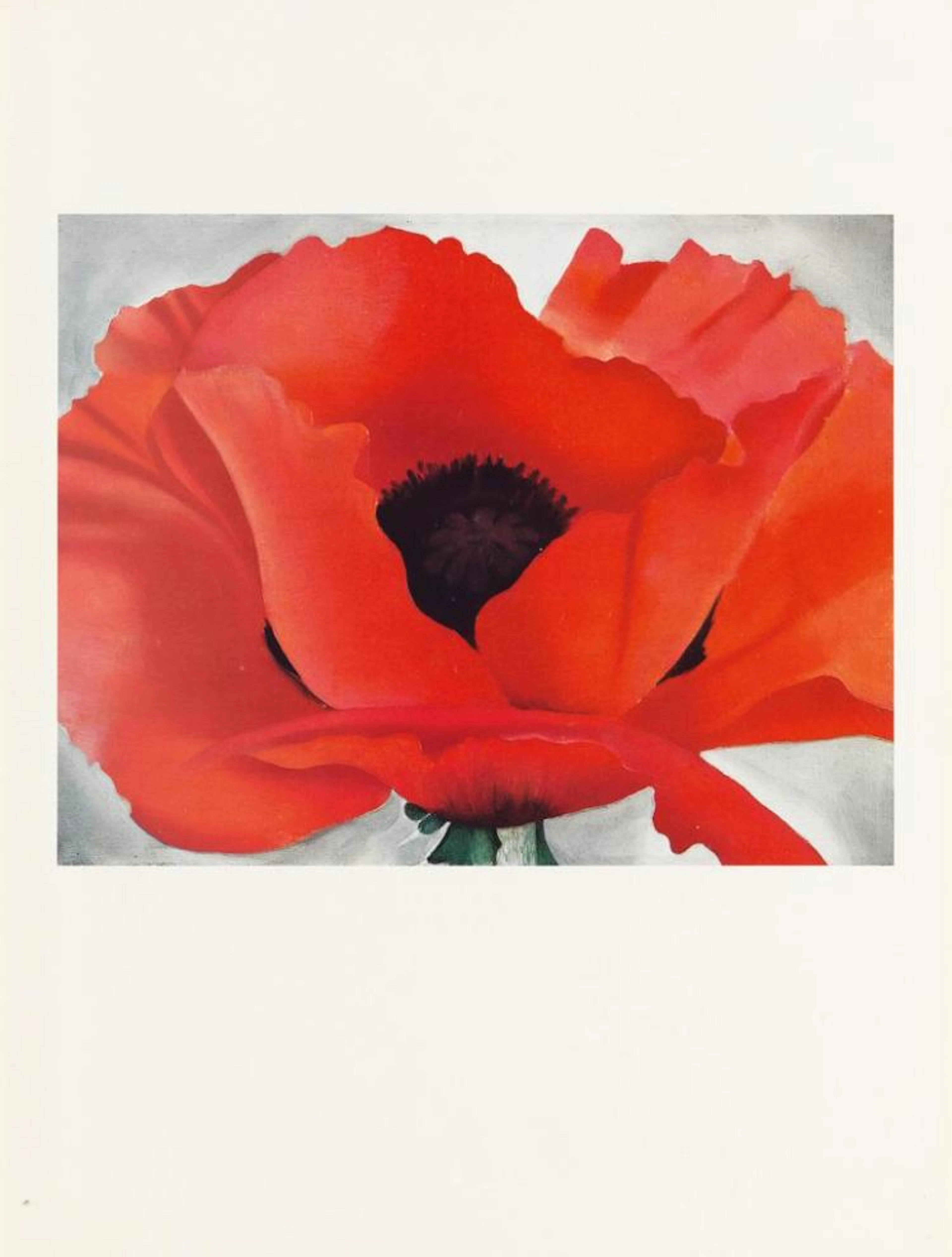 O'KEEFFE, GEORGIA. Georgia O'Keeffe.