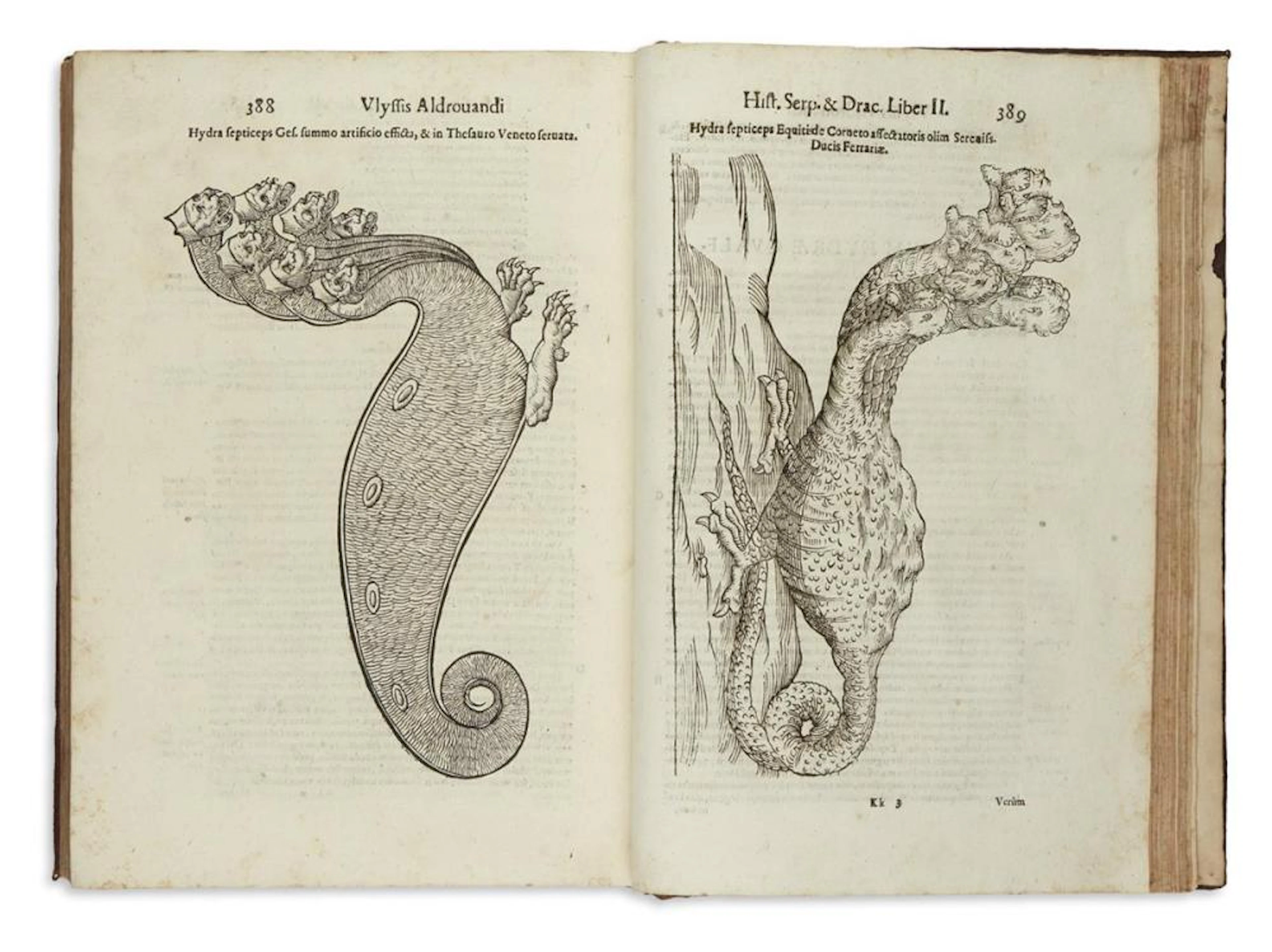 ALDROVANDI, ULISSE. Serpentum, et Draconum Historiae Libri Duo.