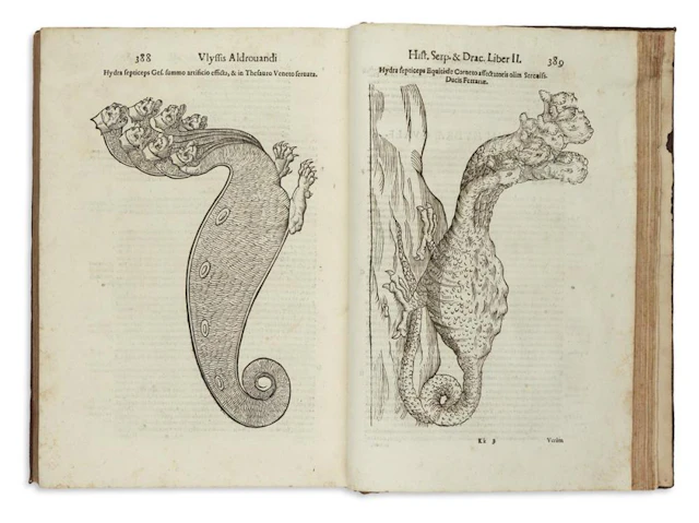 ALDROVANDI, ULISSE. Serpentum, et Draconum Historiae Libri Duo.