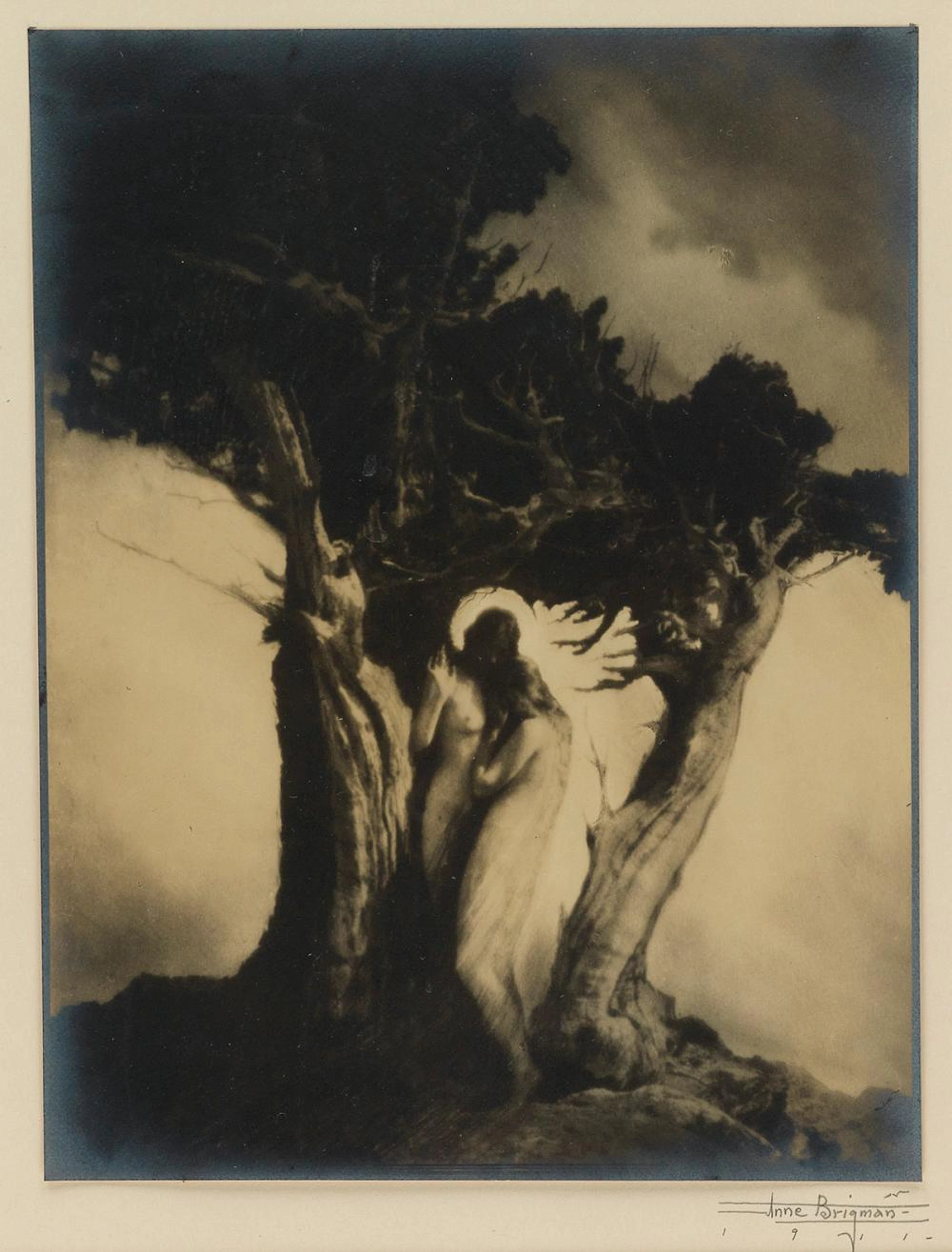 ANNE BRIGMAN (1869-1950) Heart of the Storm (Guardian...