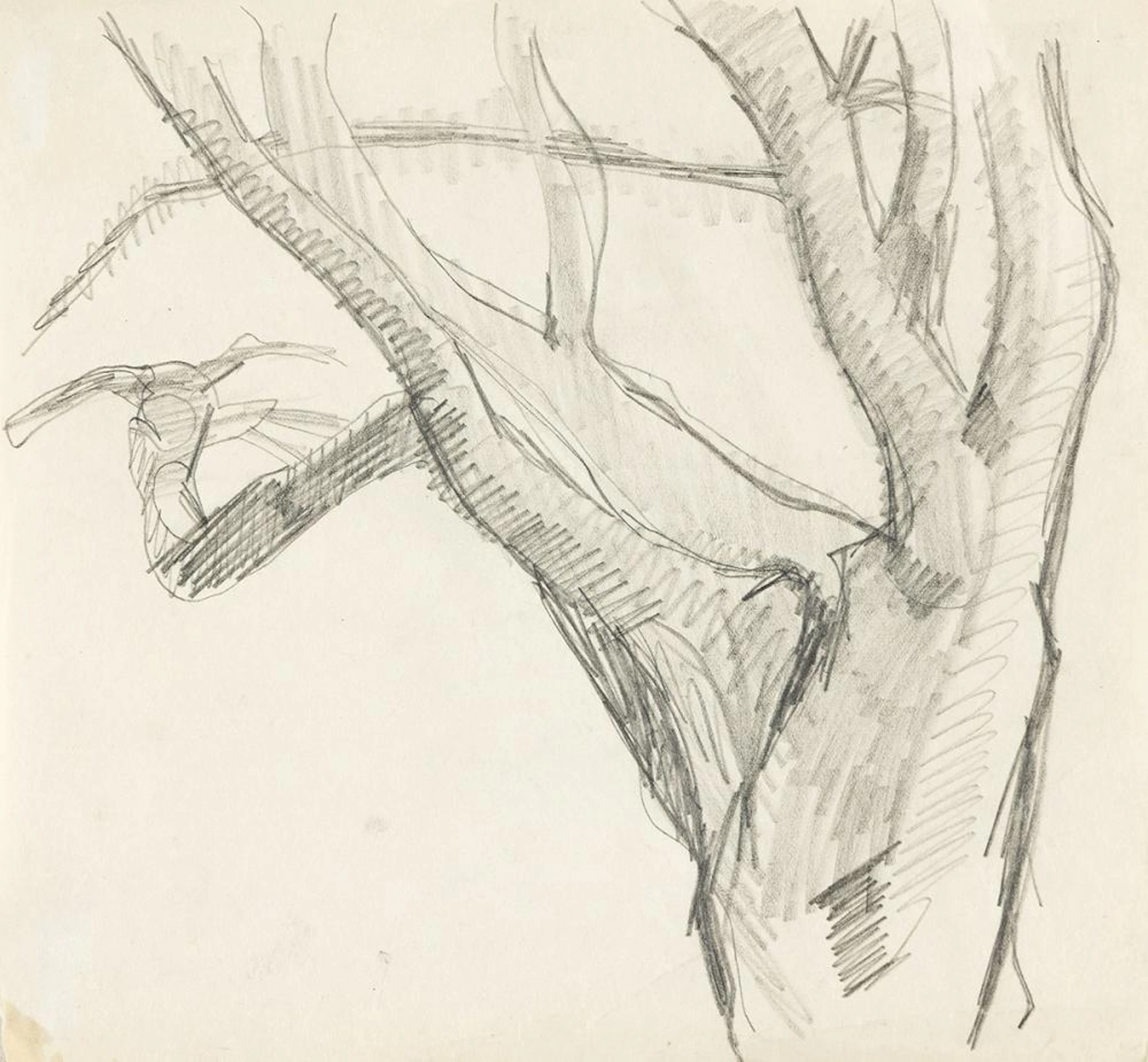 CHARLES DEMUTH Tree Study.