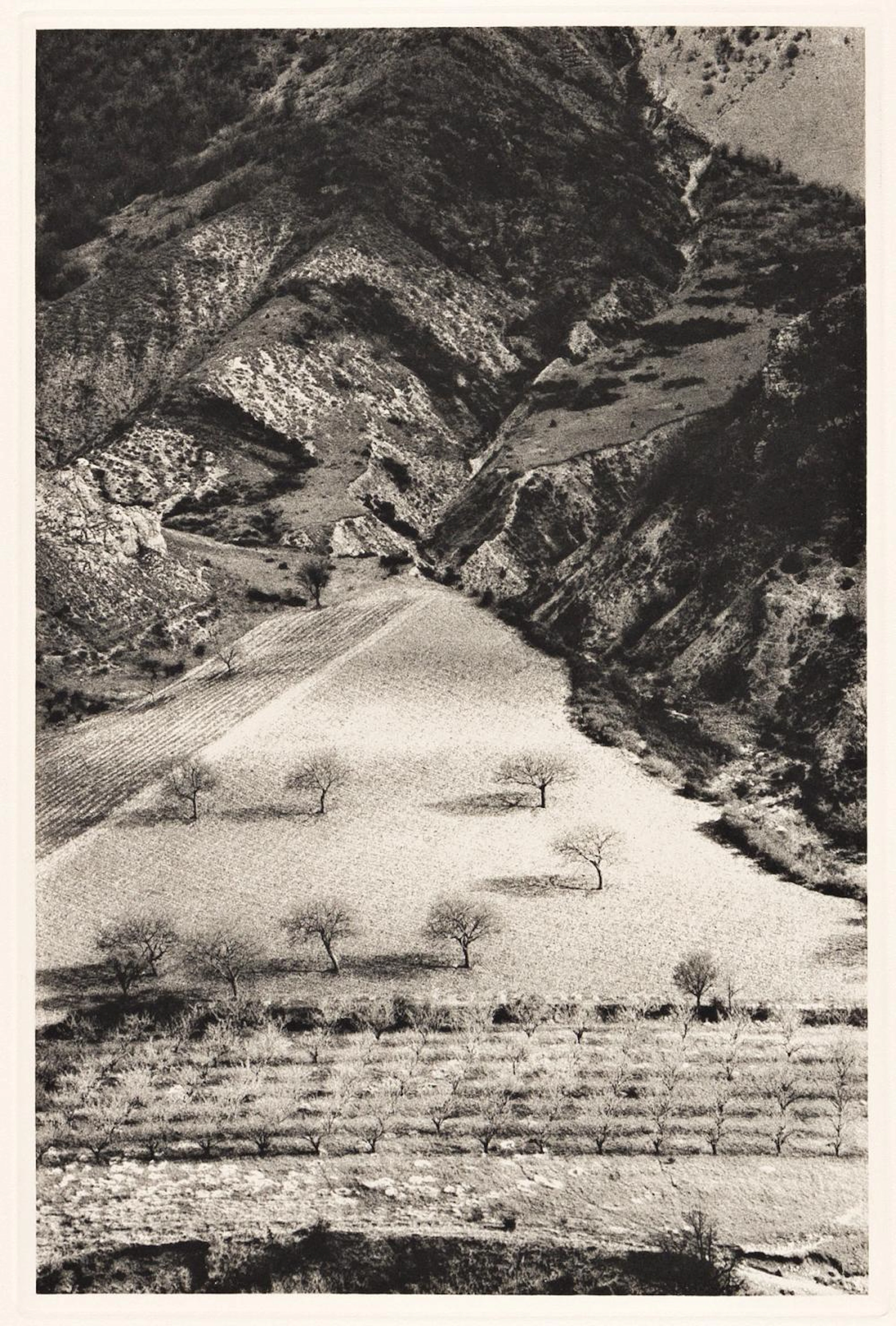 (LIMITED EDITIONS CLUB.) Giono, Jean. The Man Who Planted Trees.
