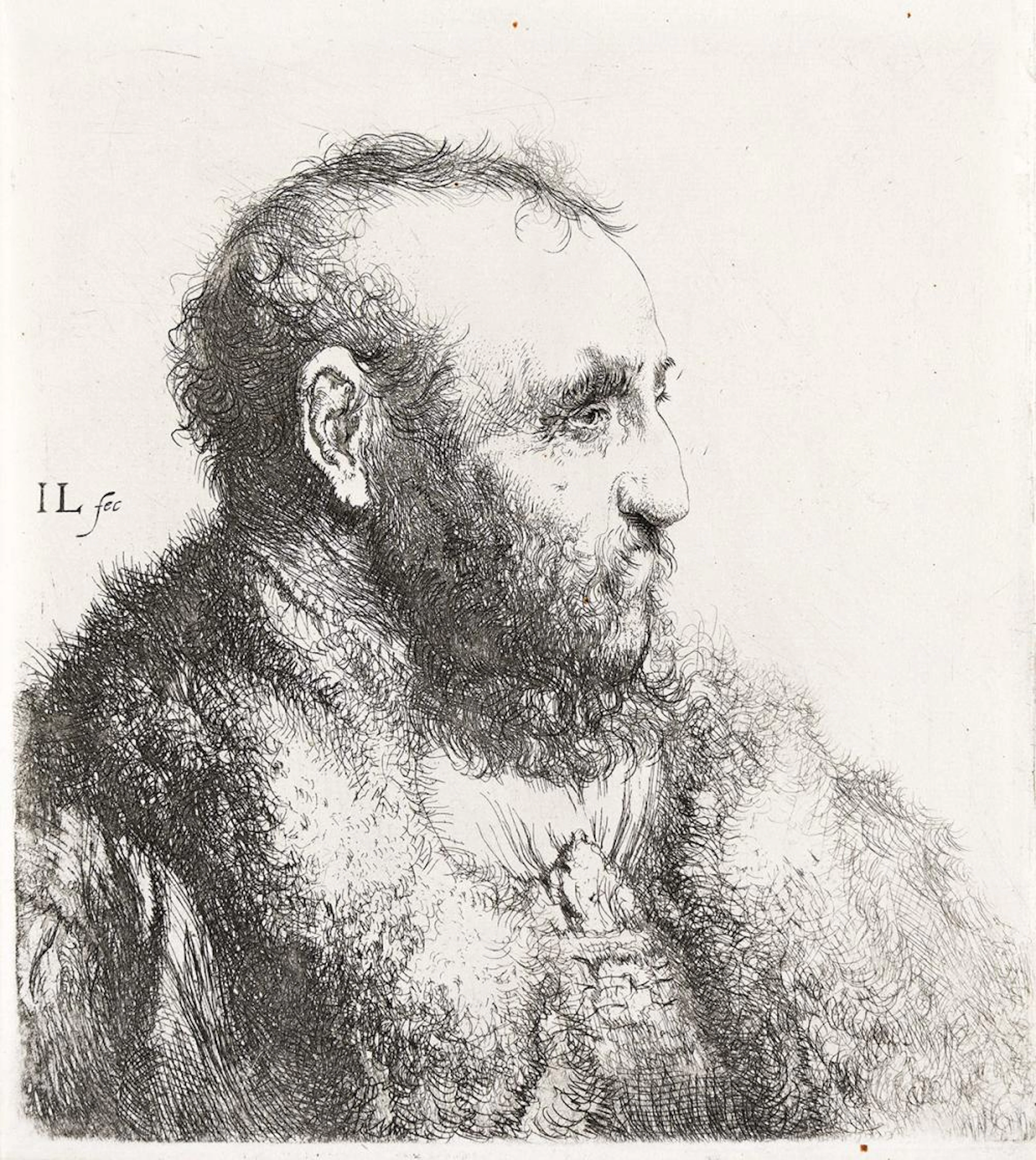 JAN LIEVENS Bust of a Man Wearing a Fur Coat: Profile.