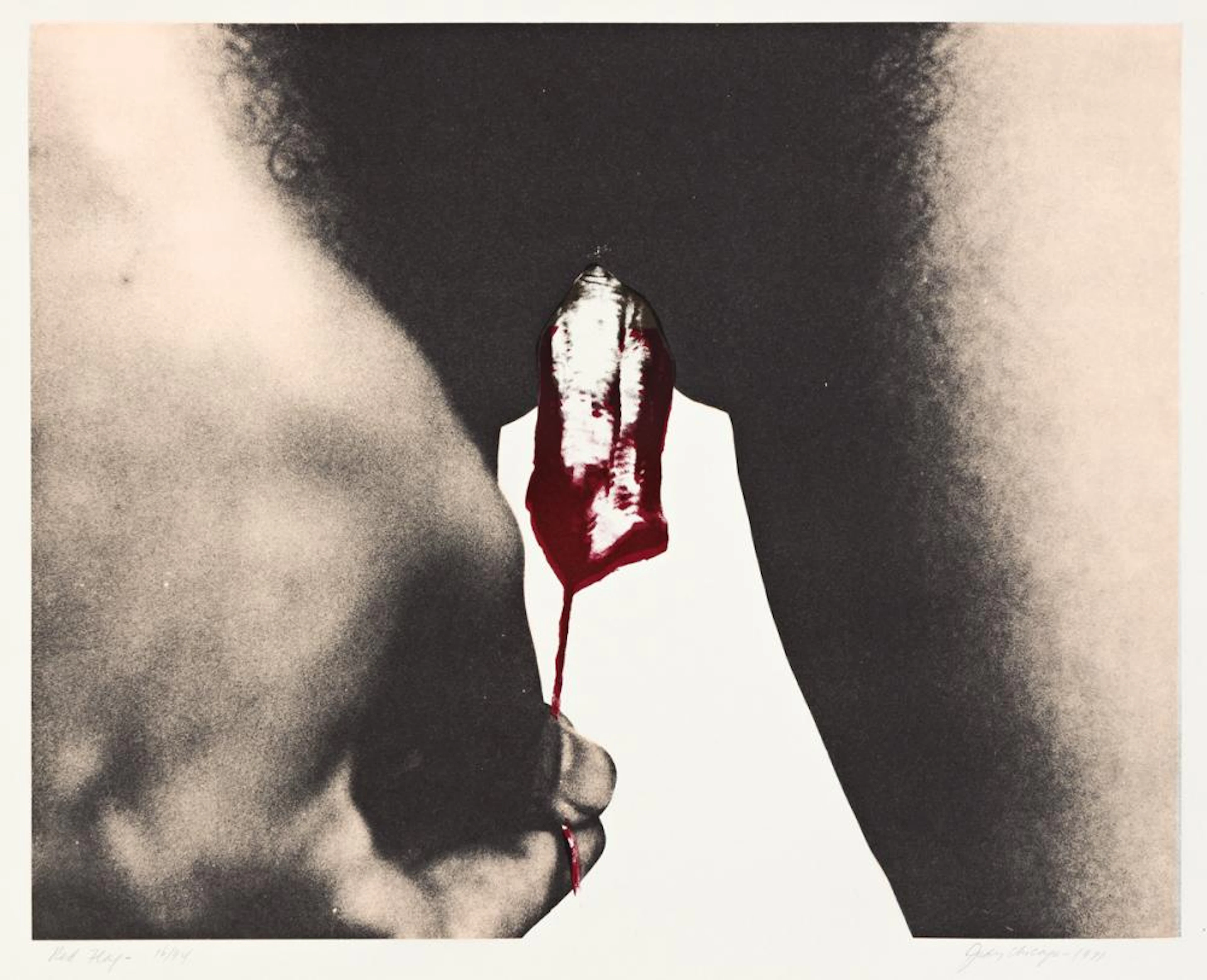 JUDY CHICAGO Red Flag.