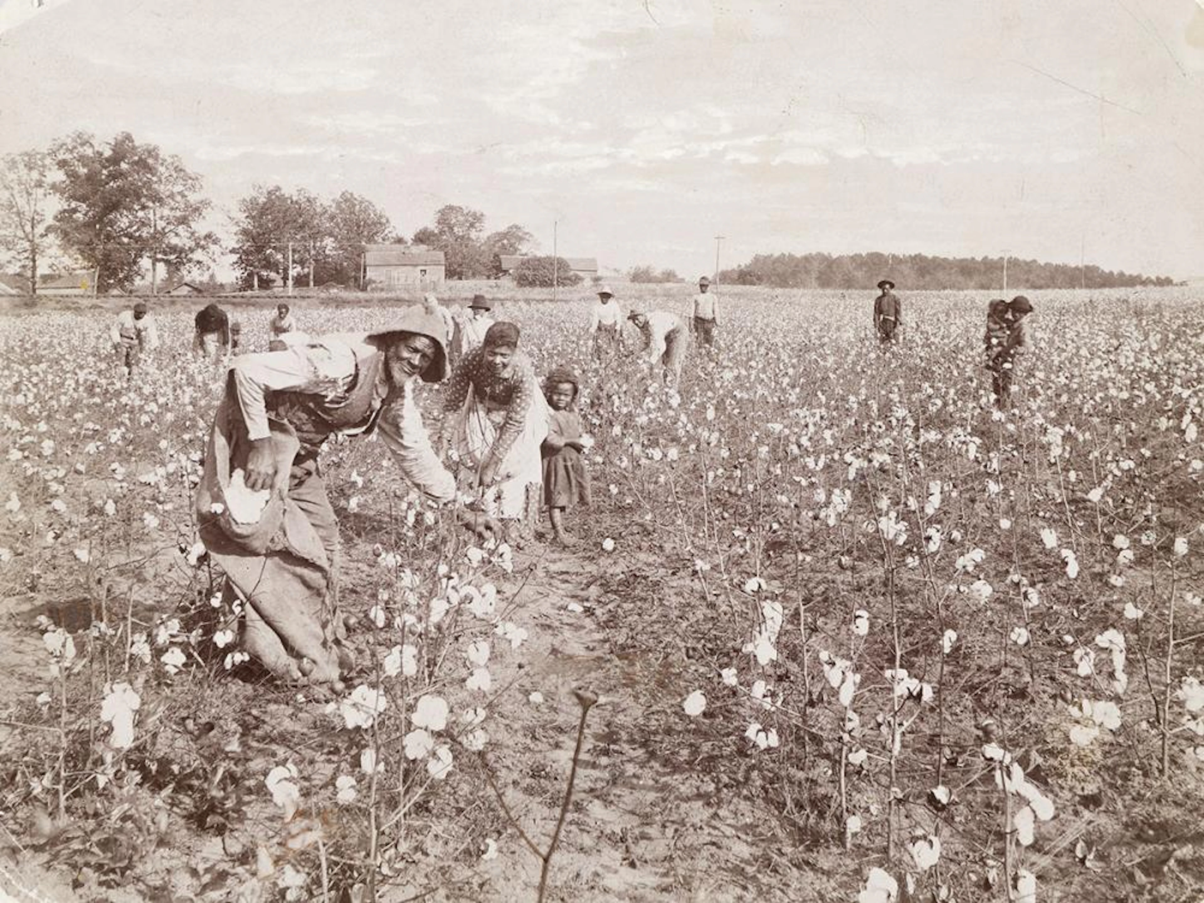(THE SOUTH) A group of four photographs documenting...