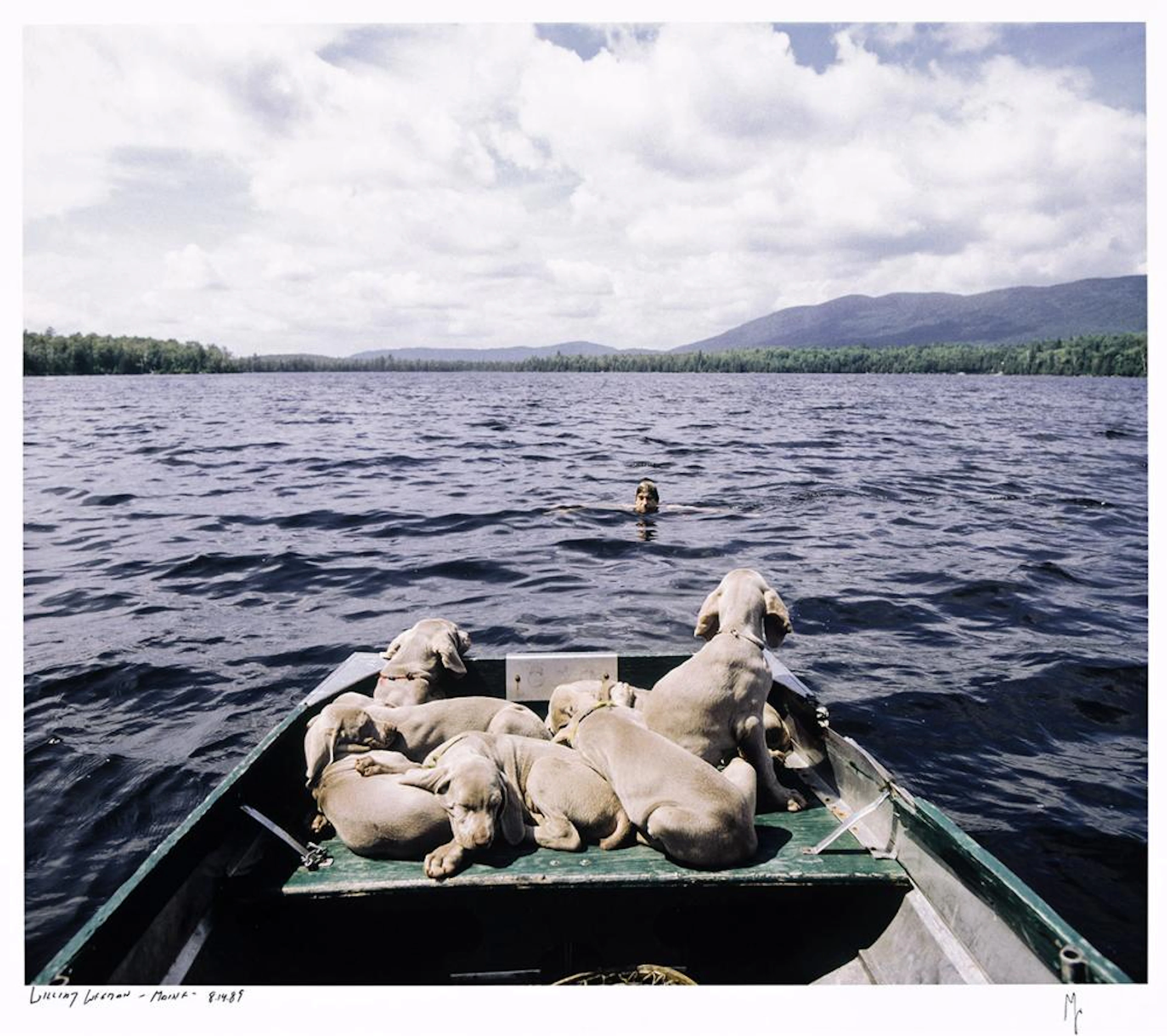 WILLIAM WEGMAN (1943- ) Maine (Self-Portrait with Dogs).