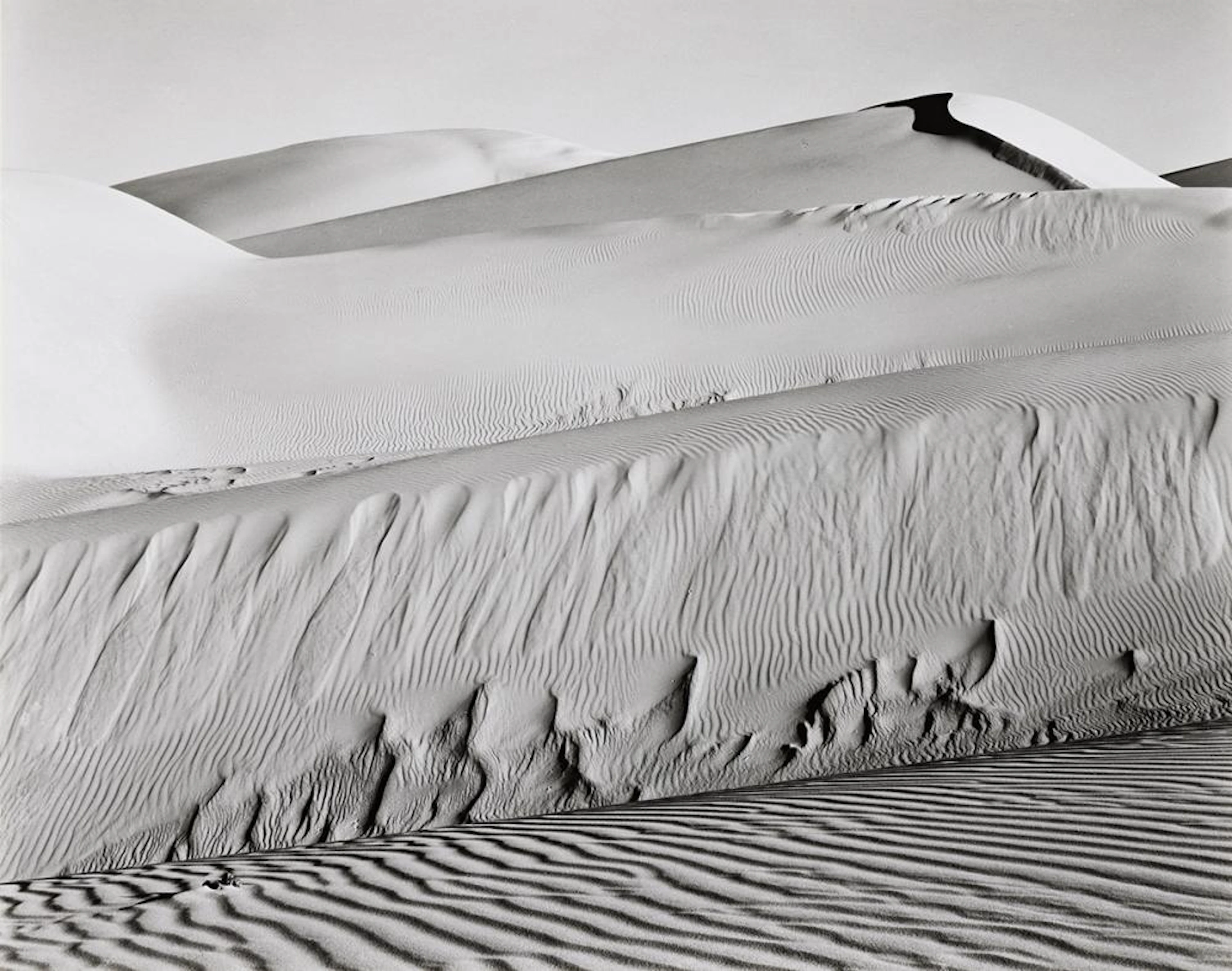 EDWARD WESTON (1886-1958)/COLE WESTON (1919-2003) Dunes, Oceano.