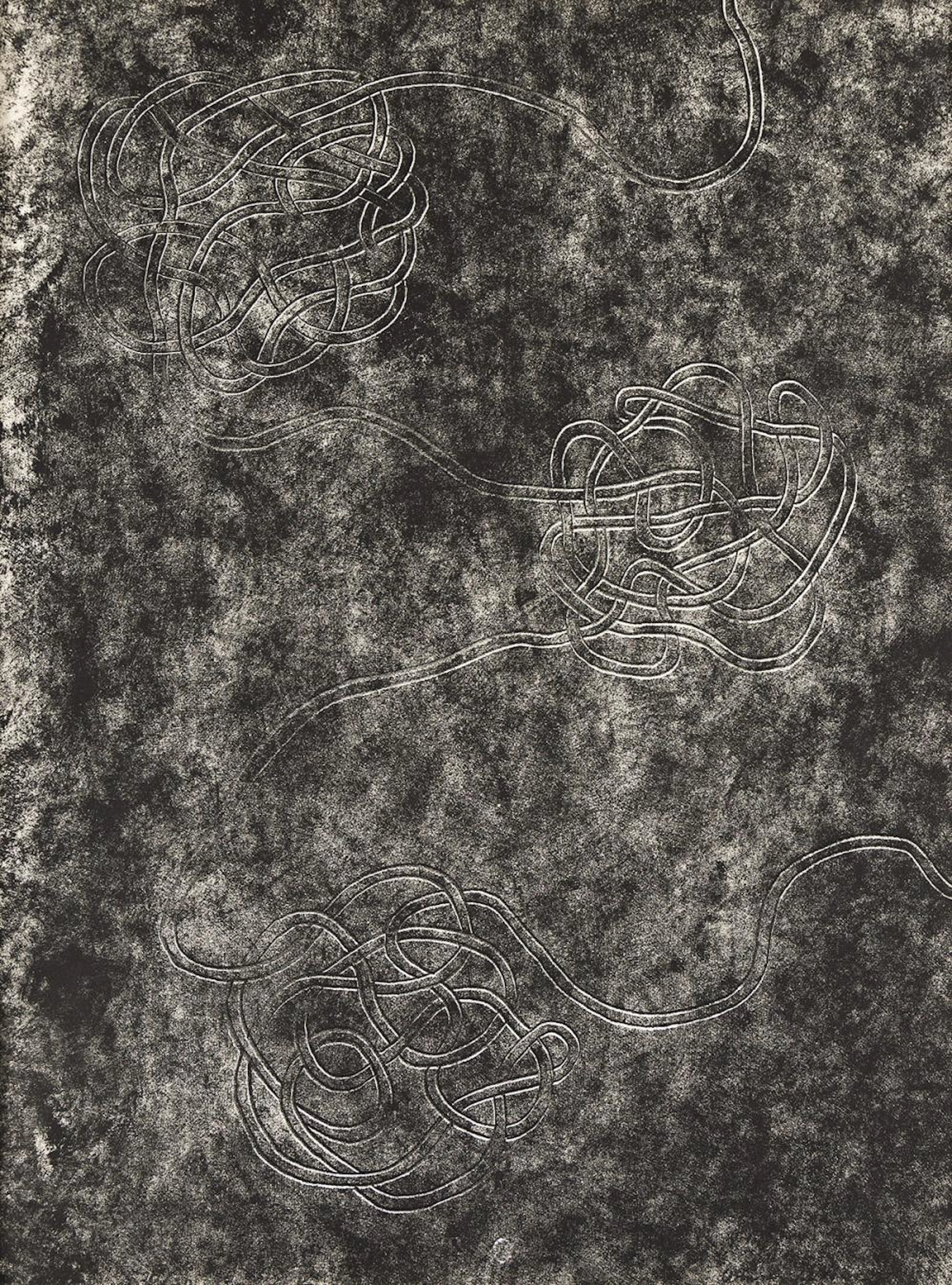 ANNI ALBERS Line Involvement V.