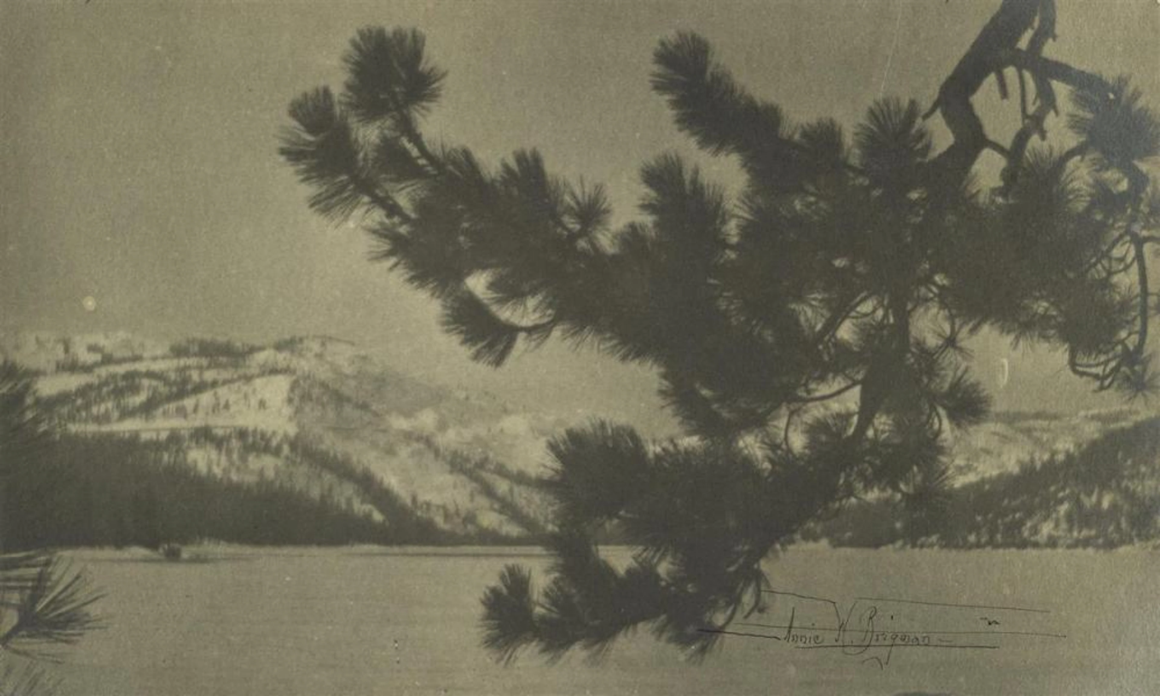 ANNE BRIGMAN (1869-1950) Donner Lake in winter * Portrait...