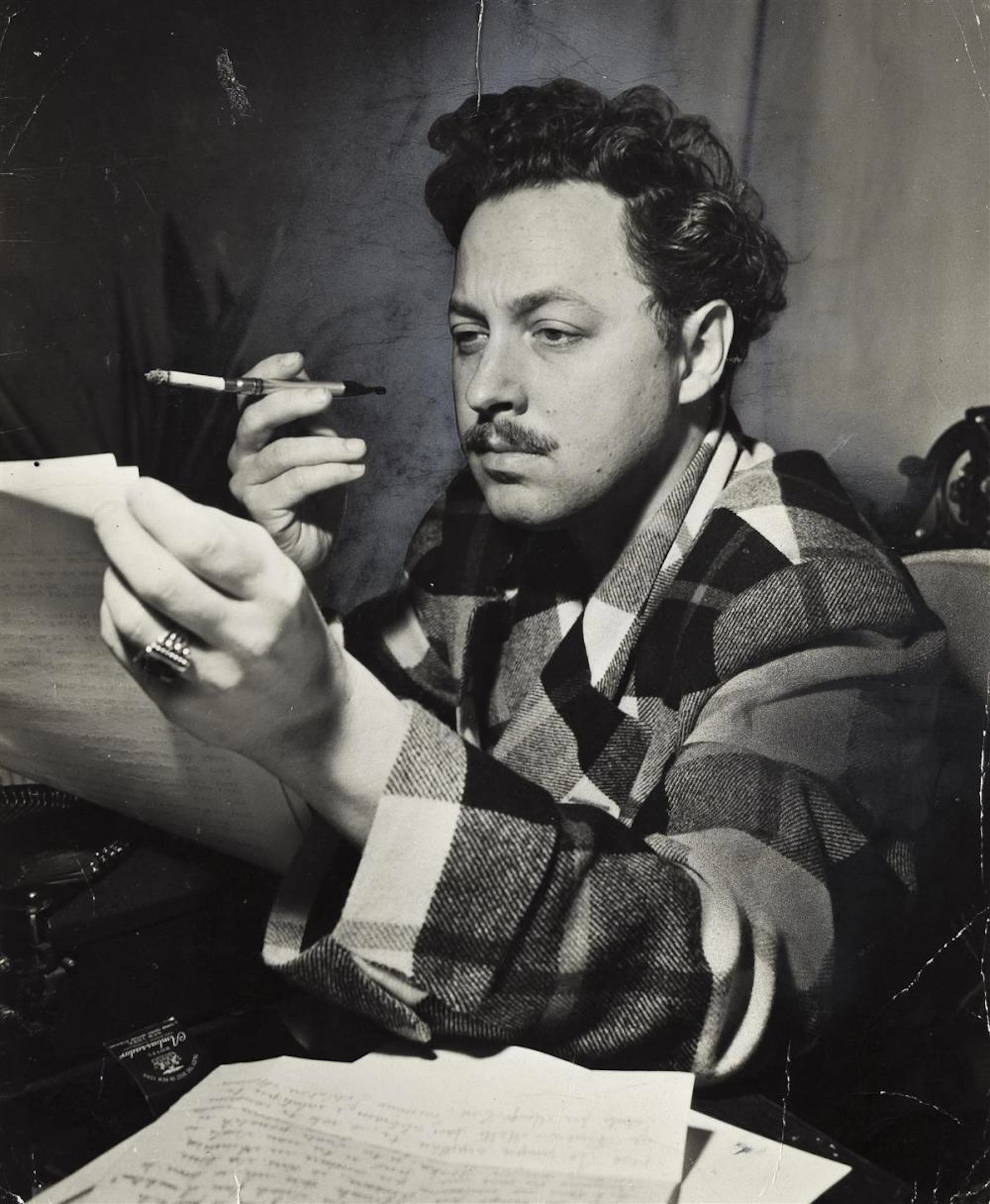(TENNESSEE WILLIAMS) Portrait of the playwright Tennessee Williams (1911-1983).