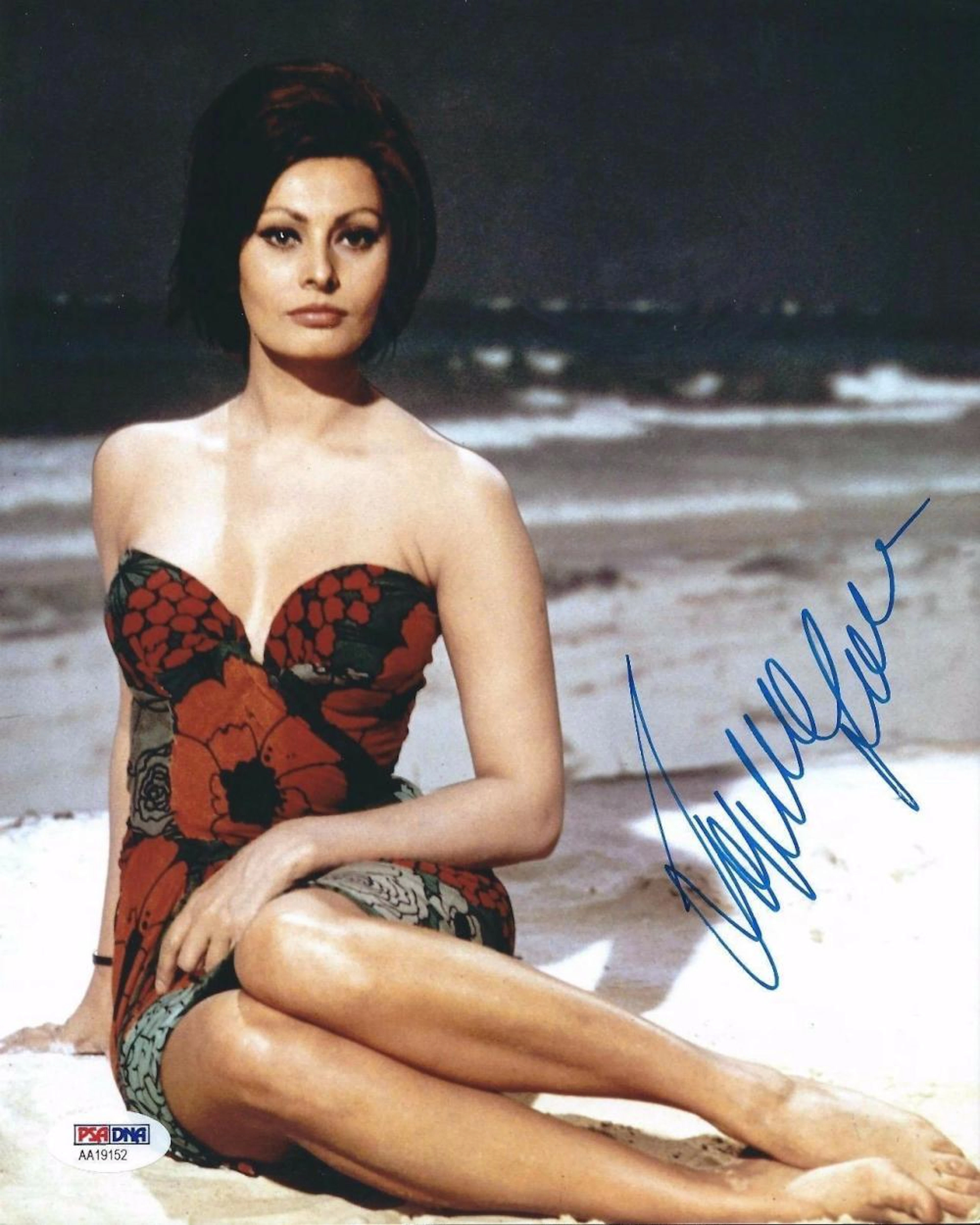 SOPHIA LOREN - 8 X 10 SIGNED PHOTOGRAPH W/COA