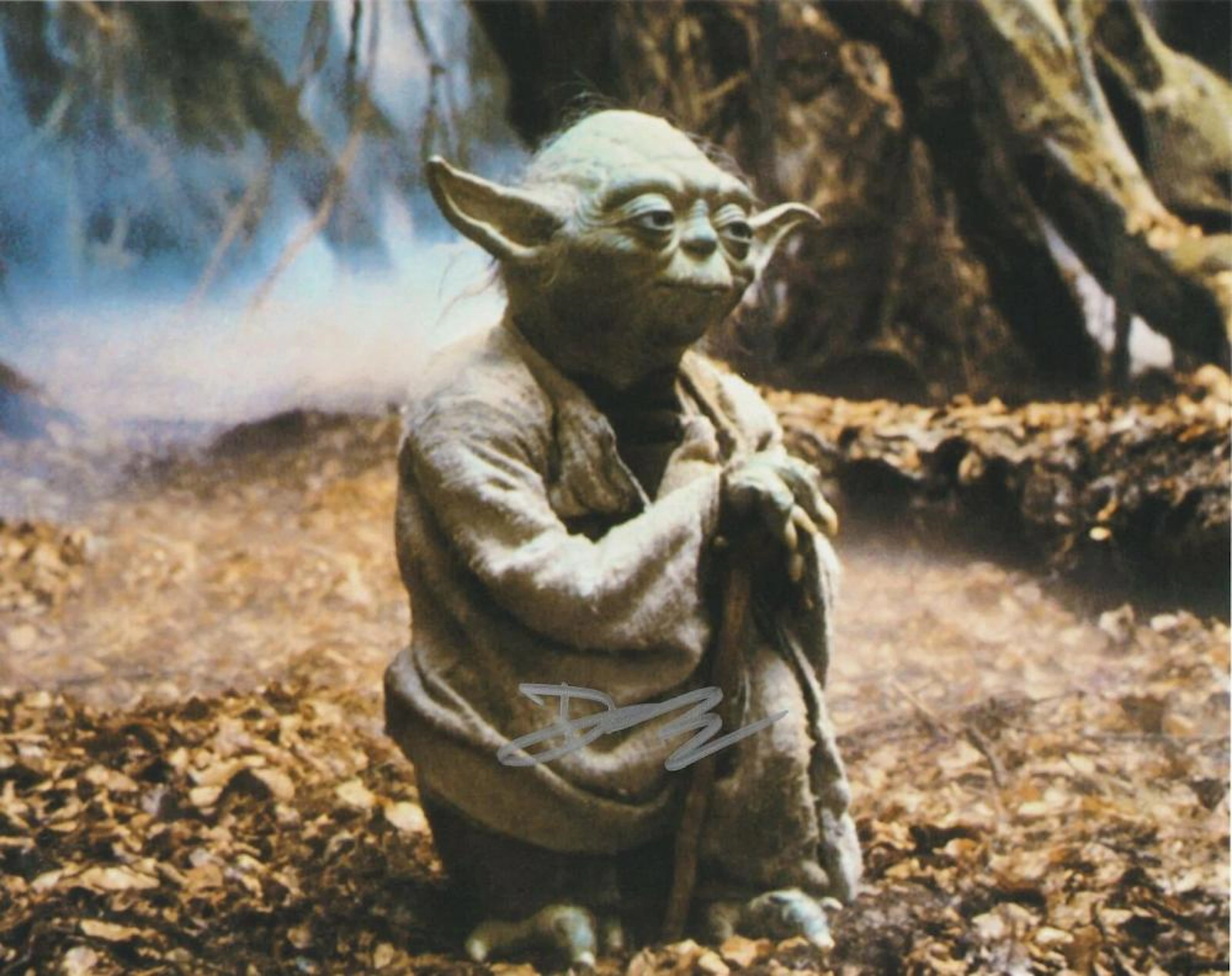 Yoda (Frank OZ) - 8 x 10 Signed Photograph w/COA
