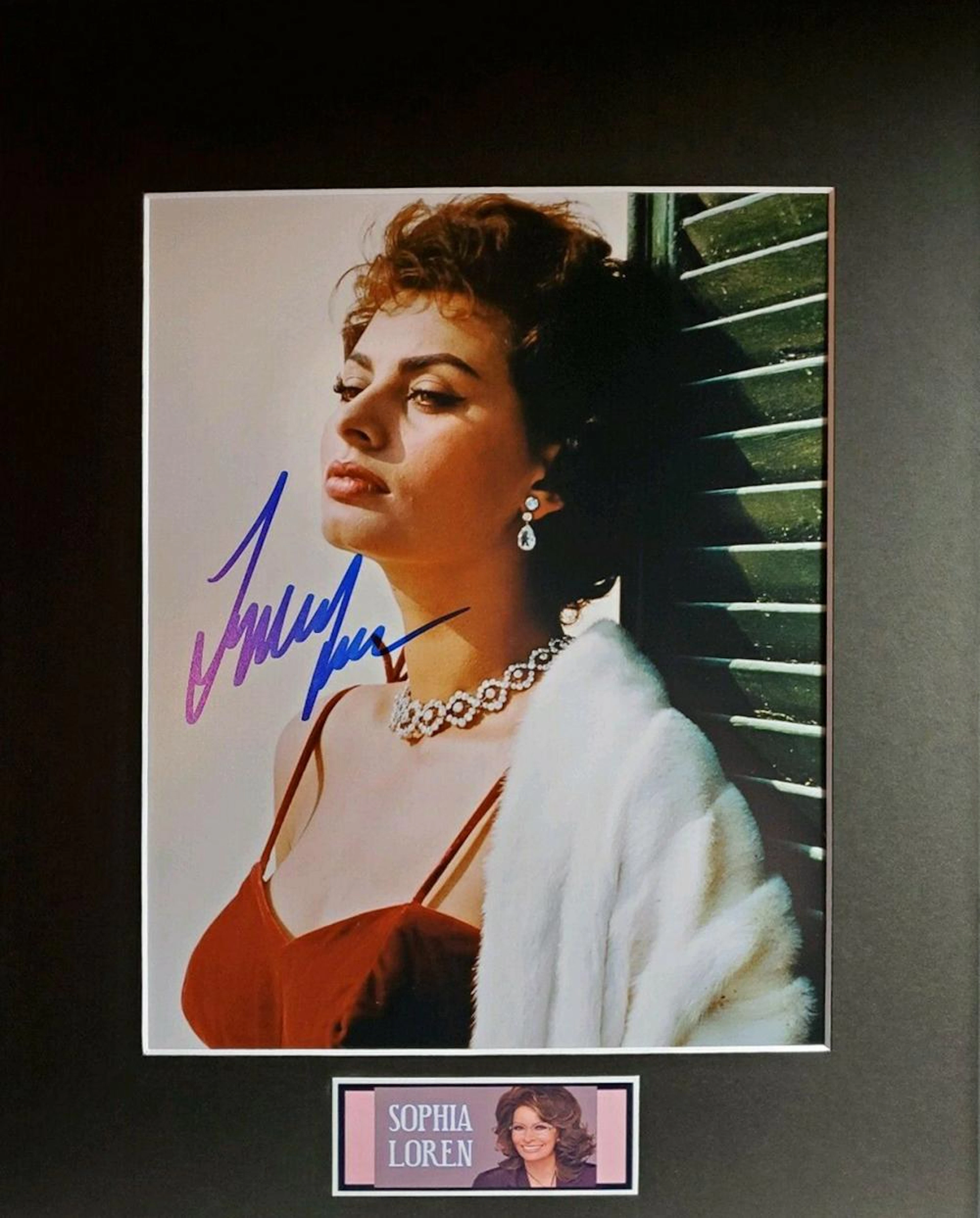 Sophia Loren - 8 x 10 Signed Photograph w/ COA