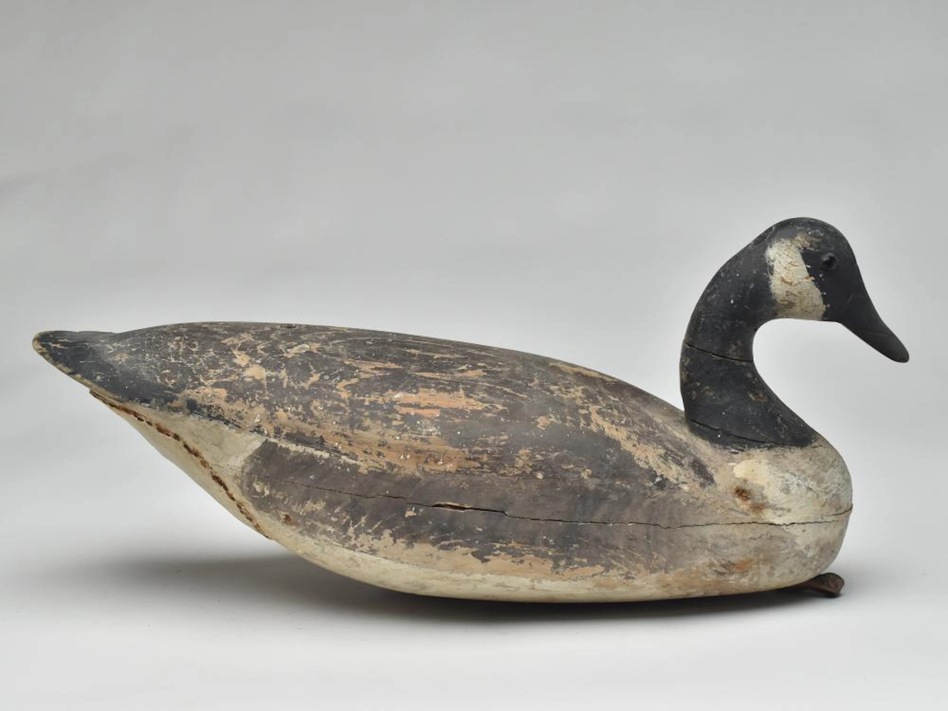 Canada goose, Joe King, Manahawkin, New Jersey, 3rd quarter 19th century.