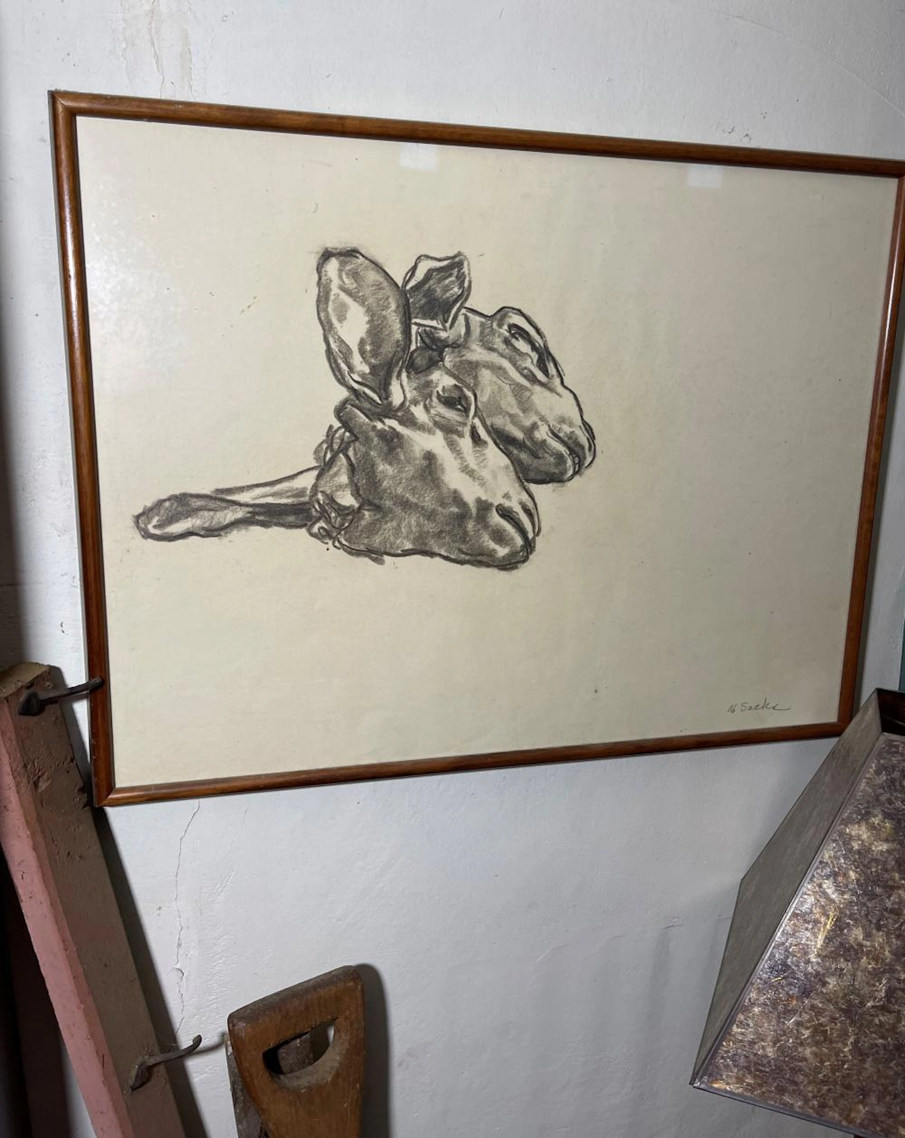DRAWING OF COWS BY M. SACKS