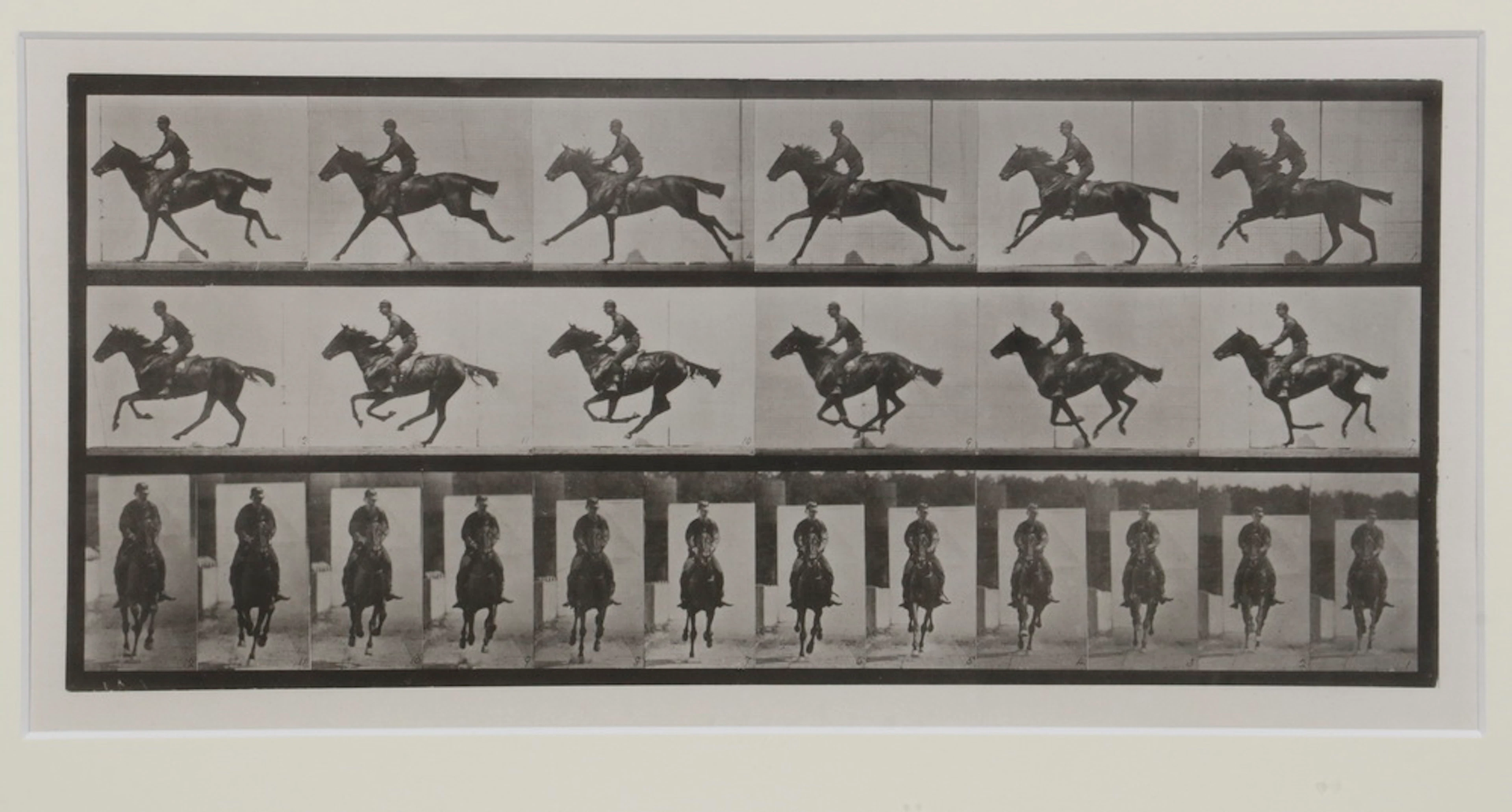 EDWARD MUYBRIDGE (CA/PA/UK, 1830-1904)