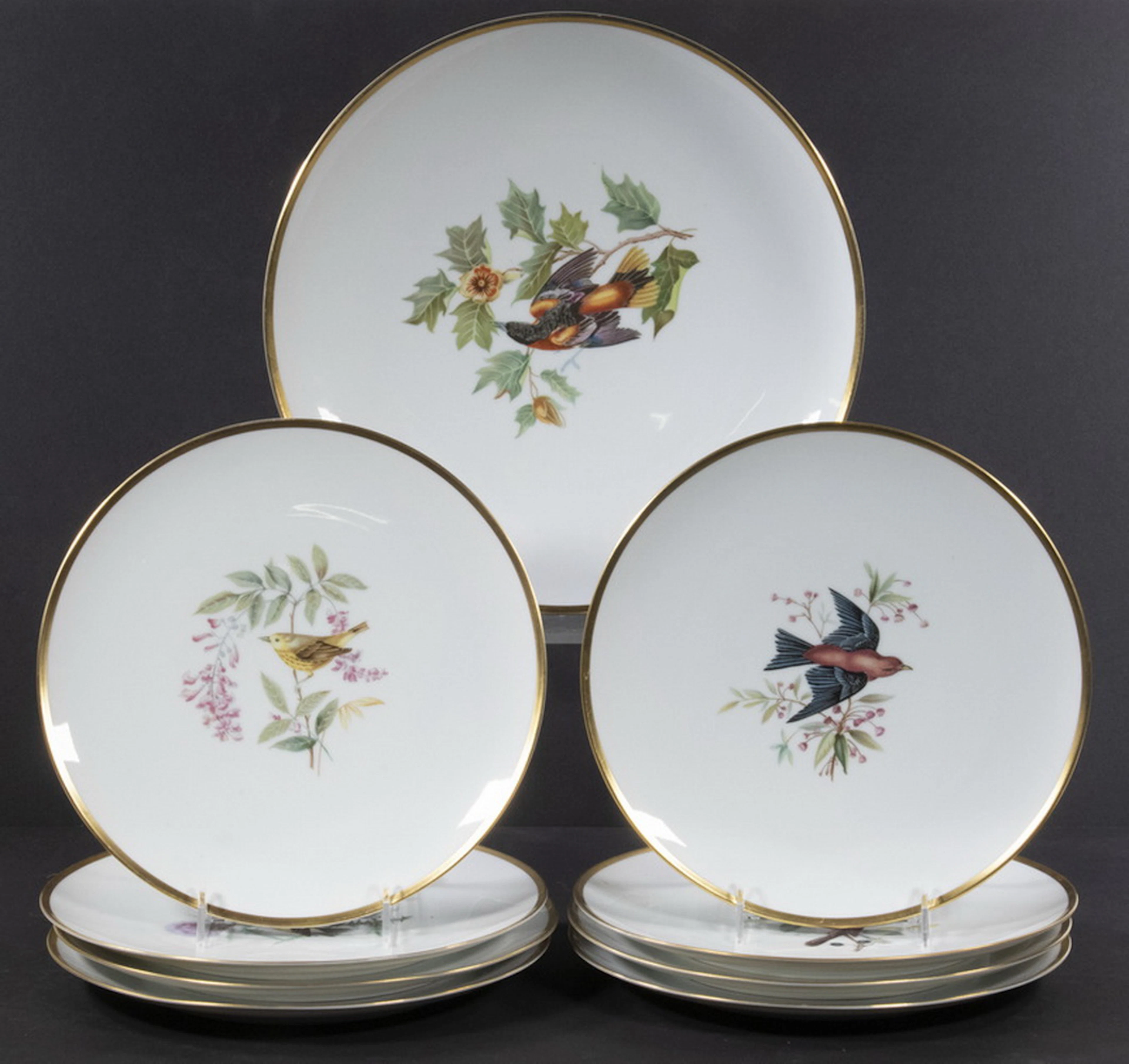 (9) HUTSCHENREUTHER PORCELAIN AUDUBON BIRD PLATES