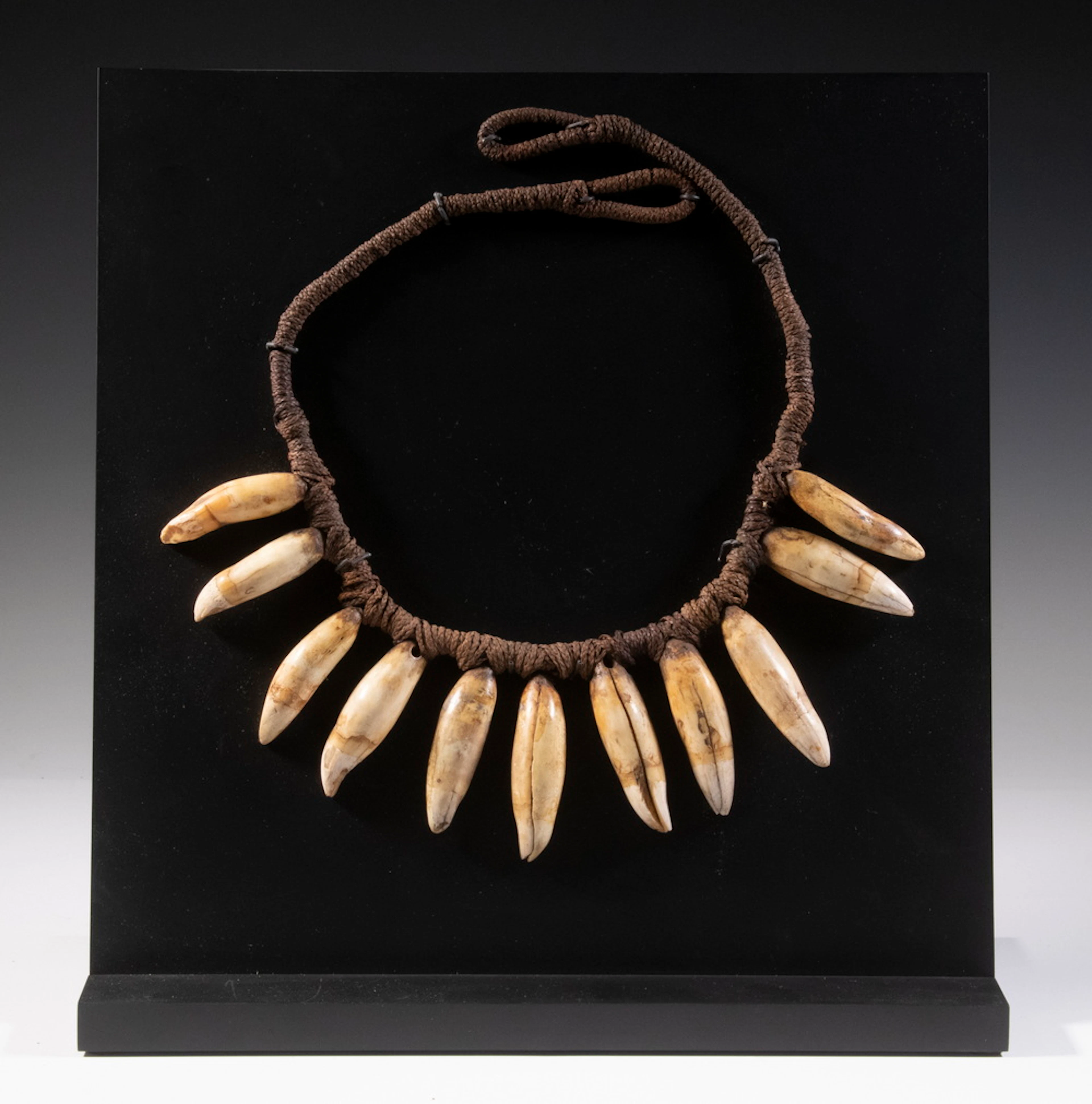 POLYNESIAN WHALE TOOTH NECKLACE