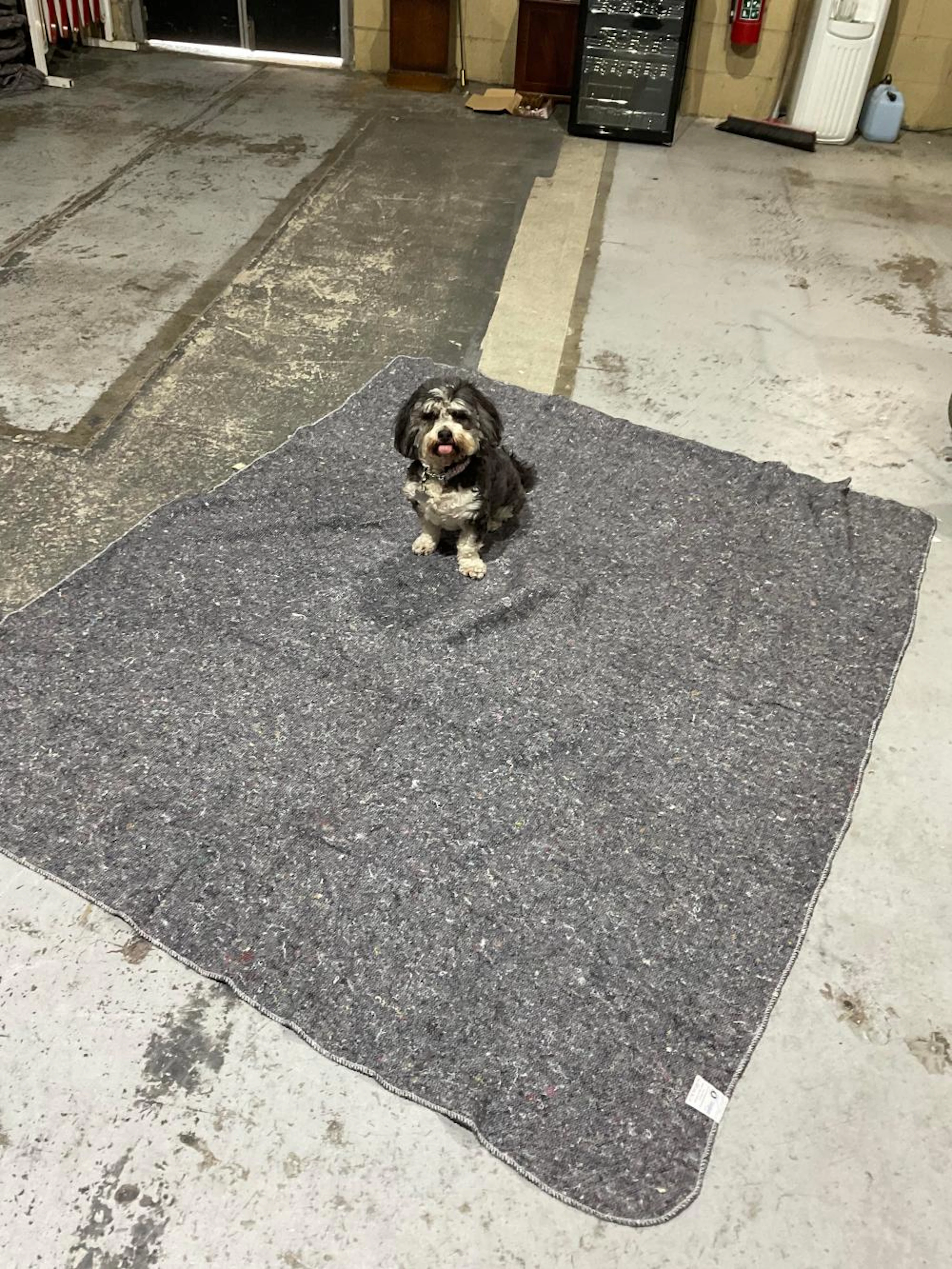 12 x removalists stitched blankets